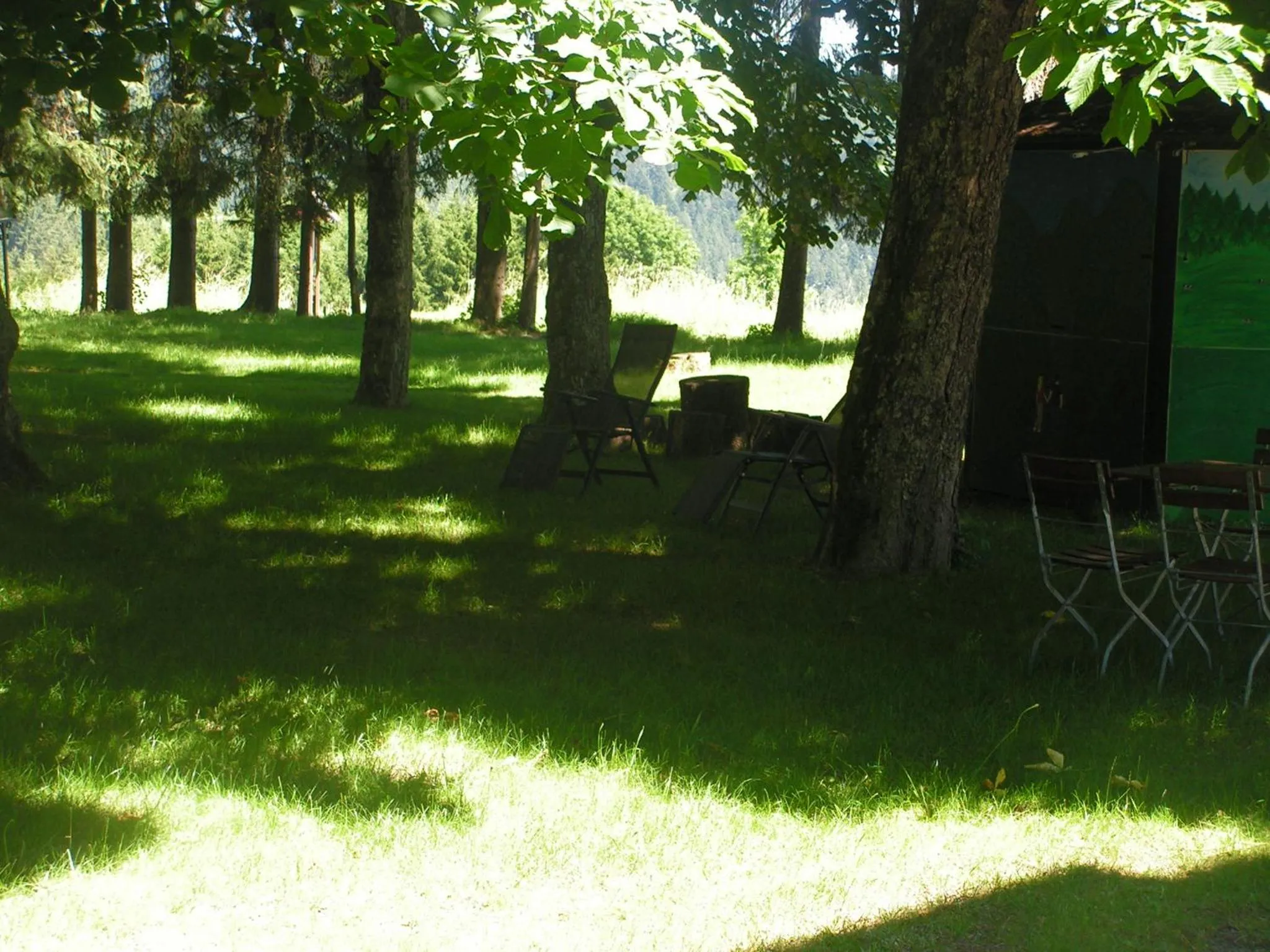 BBQ facilities in Hotel Sternen