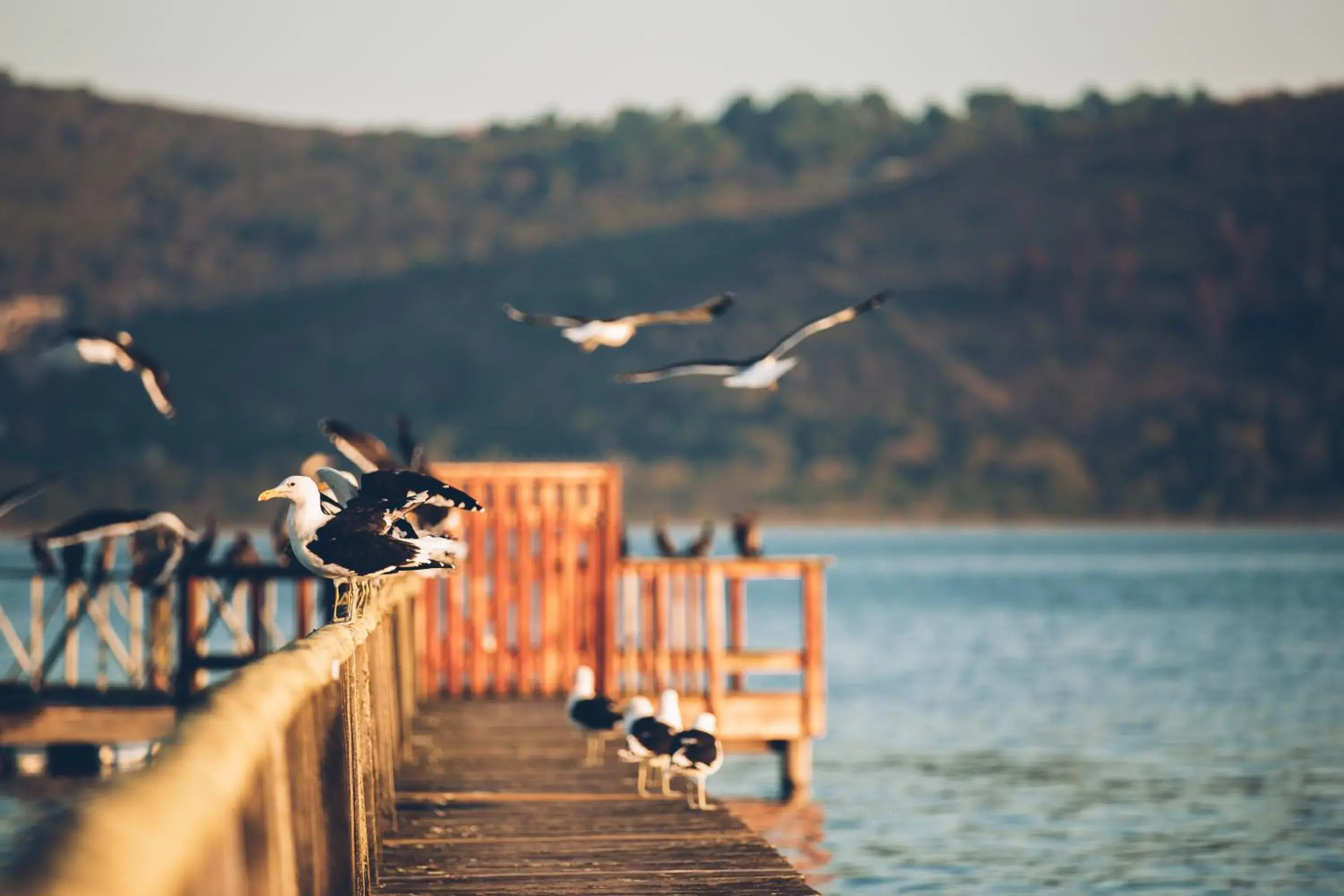 Holiday Home in Oyster Creek Lodge Holiday Home in Oyster Creek Lodge