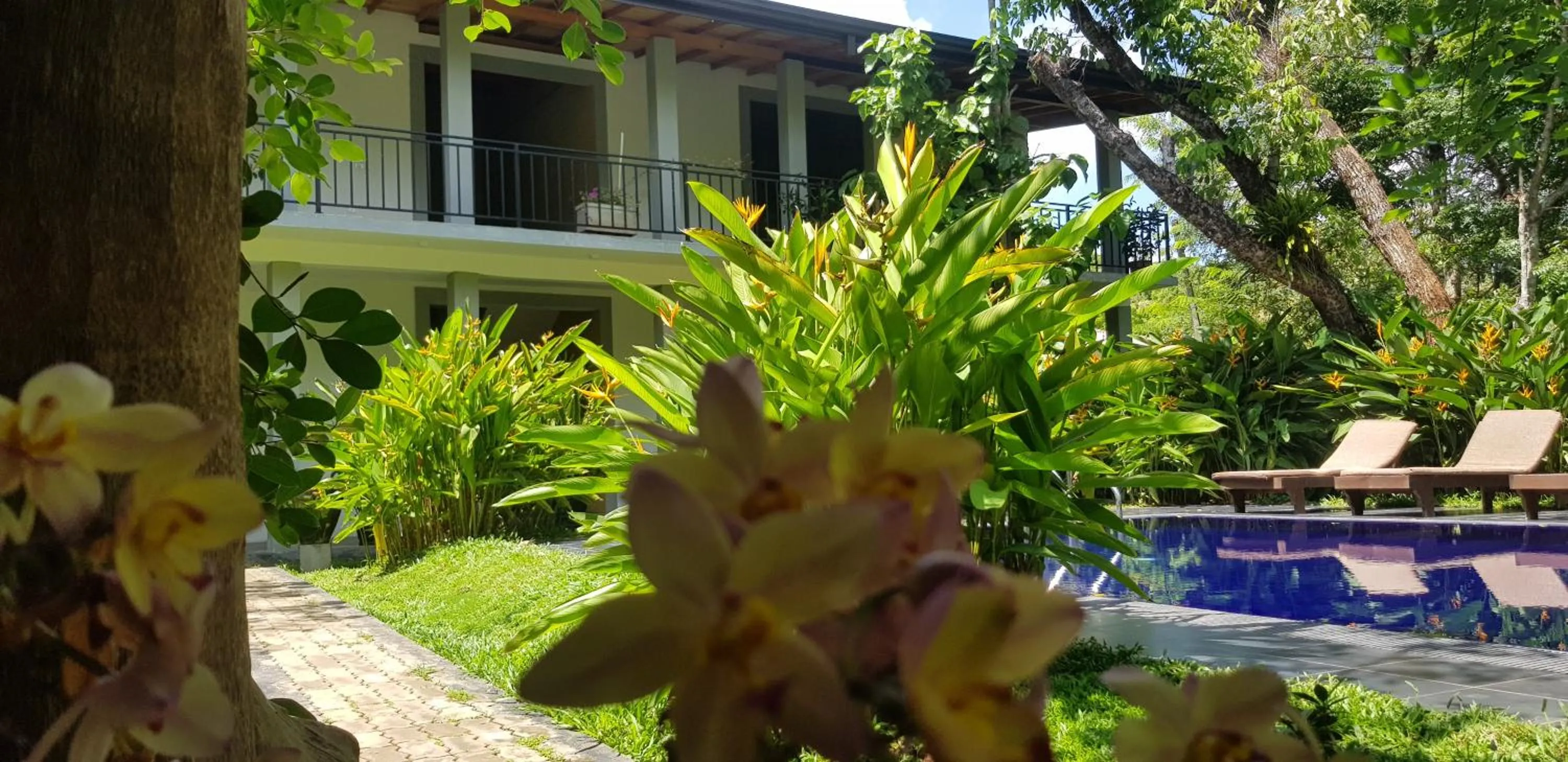 Pool view in il Frangipane