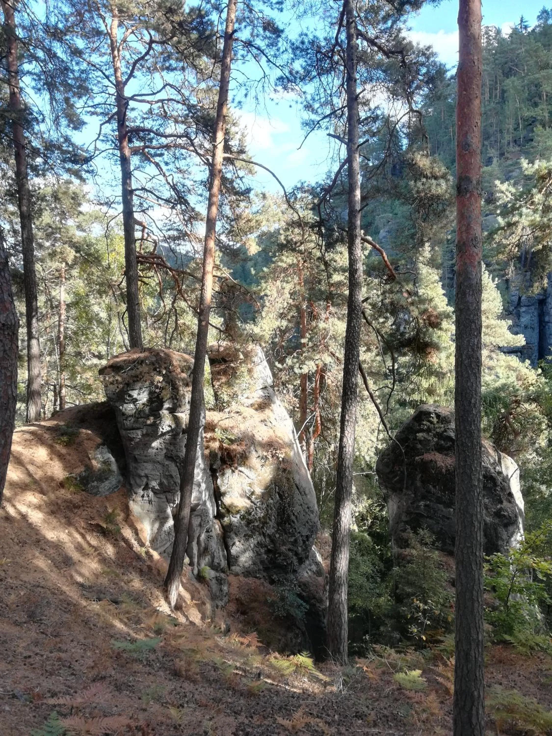 Off site in Pension Král
