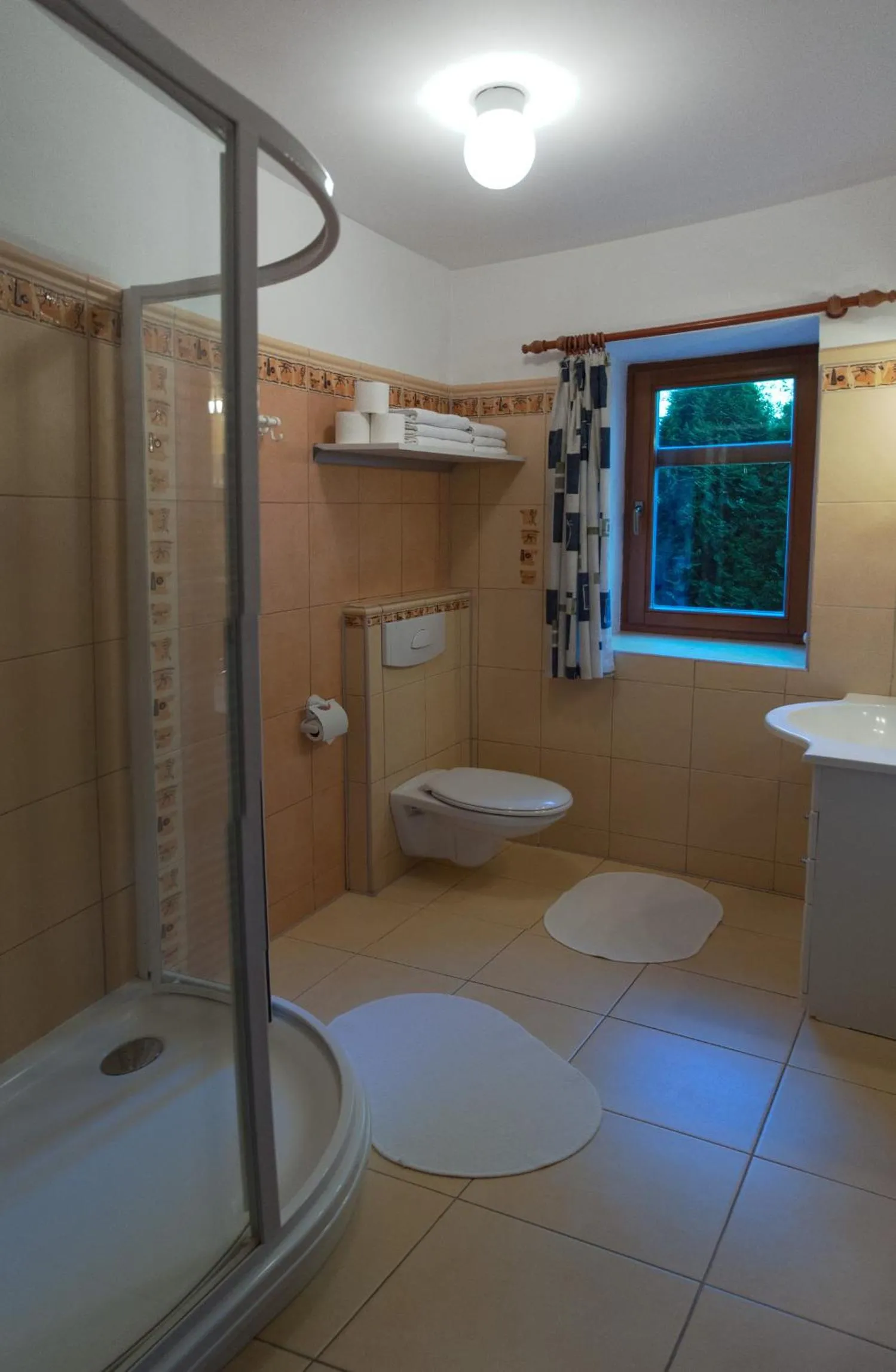 Shower in Pension Král