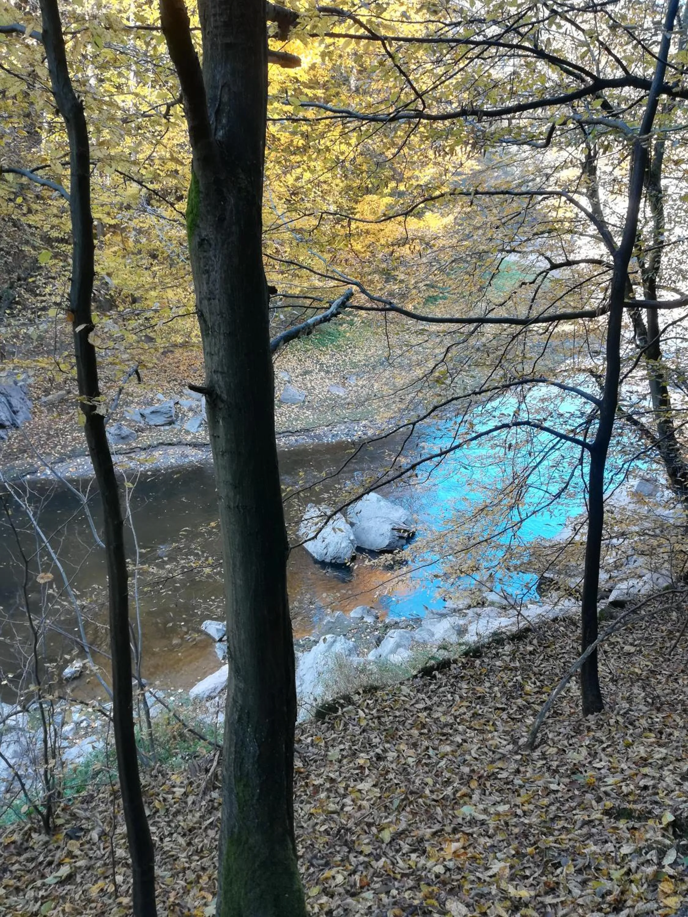 Off site in Pension Král