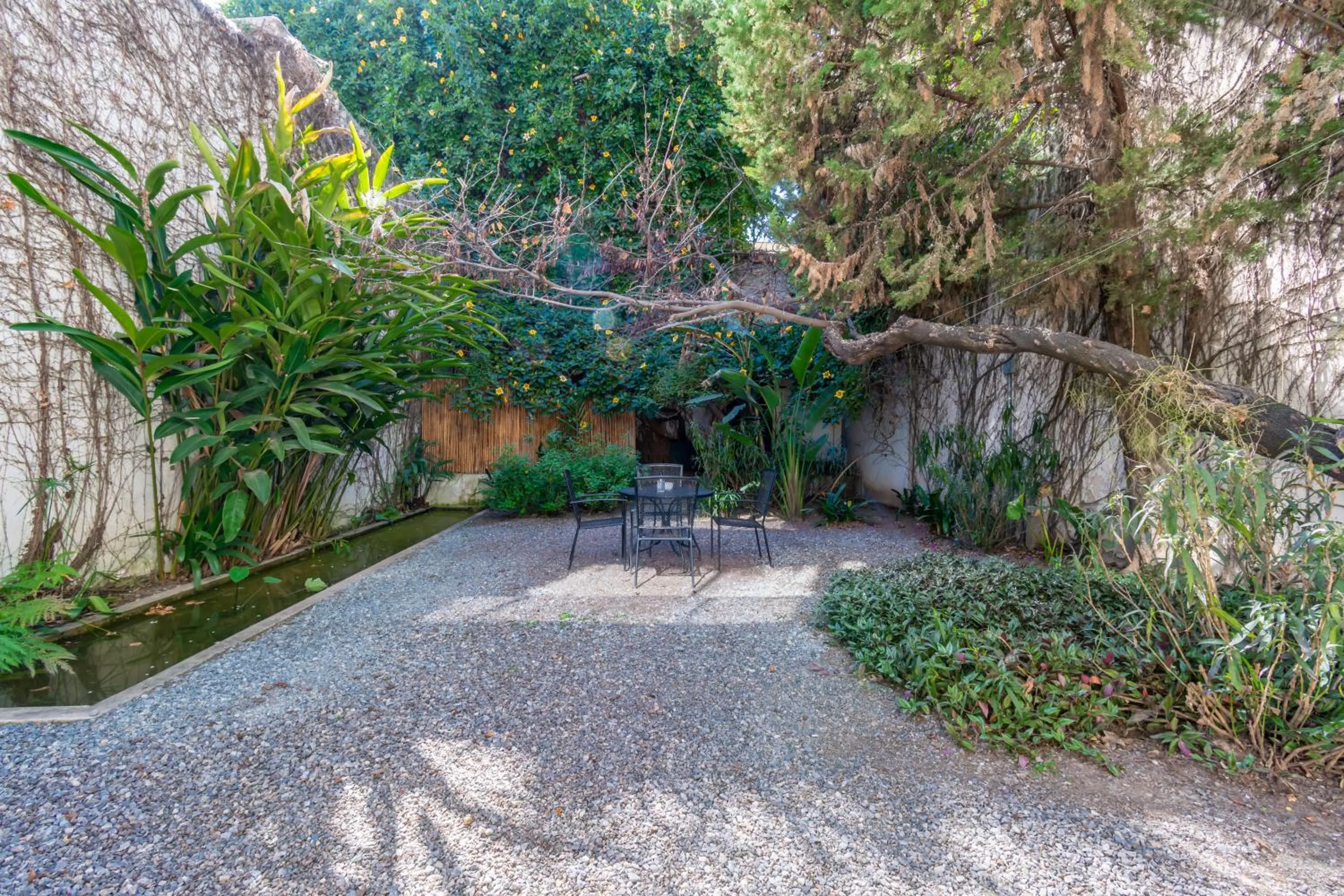 Garden in Hotel BA Jardines Palermo