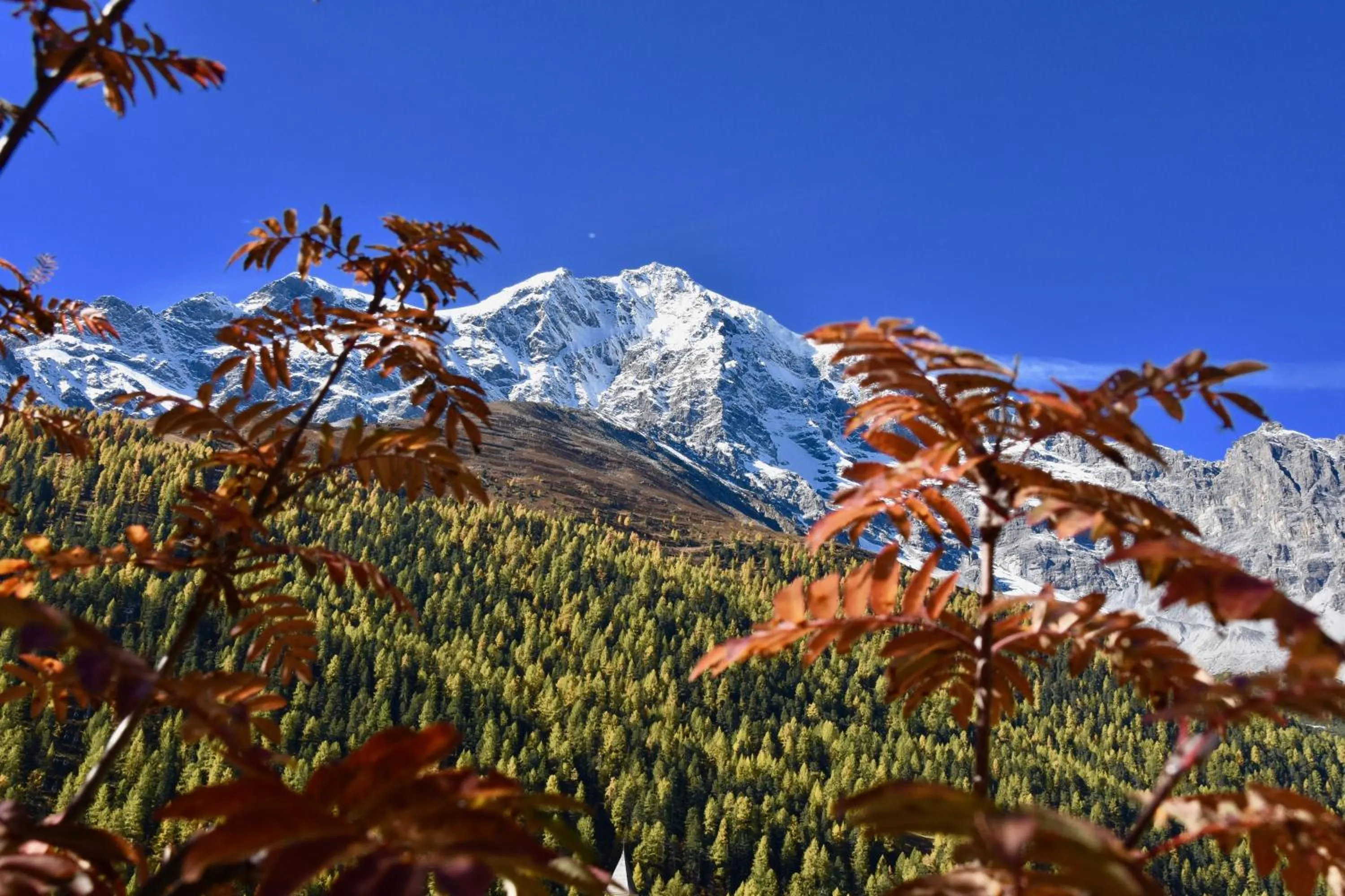 Off site in Bed & Breakfast Hotel Nives