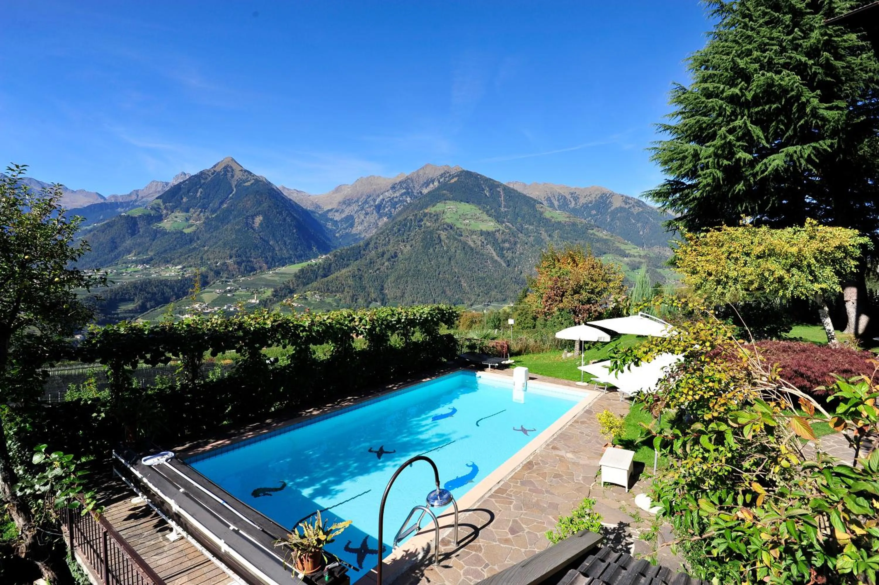 Swimming pool in Haus Artus