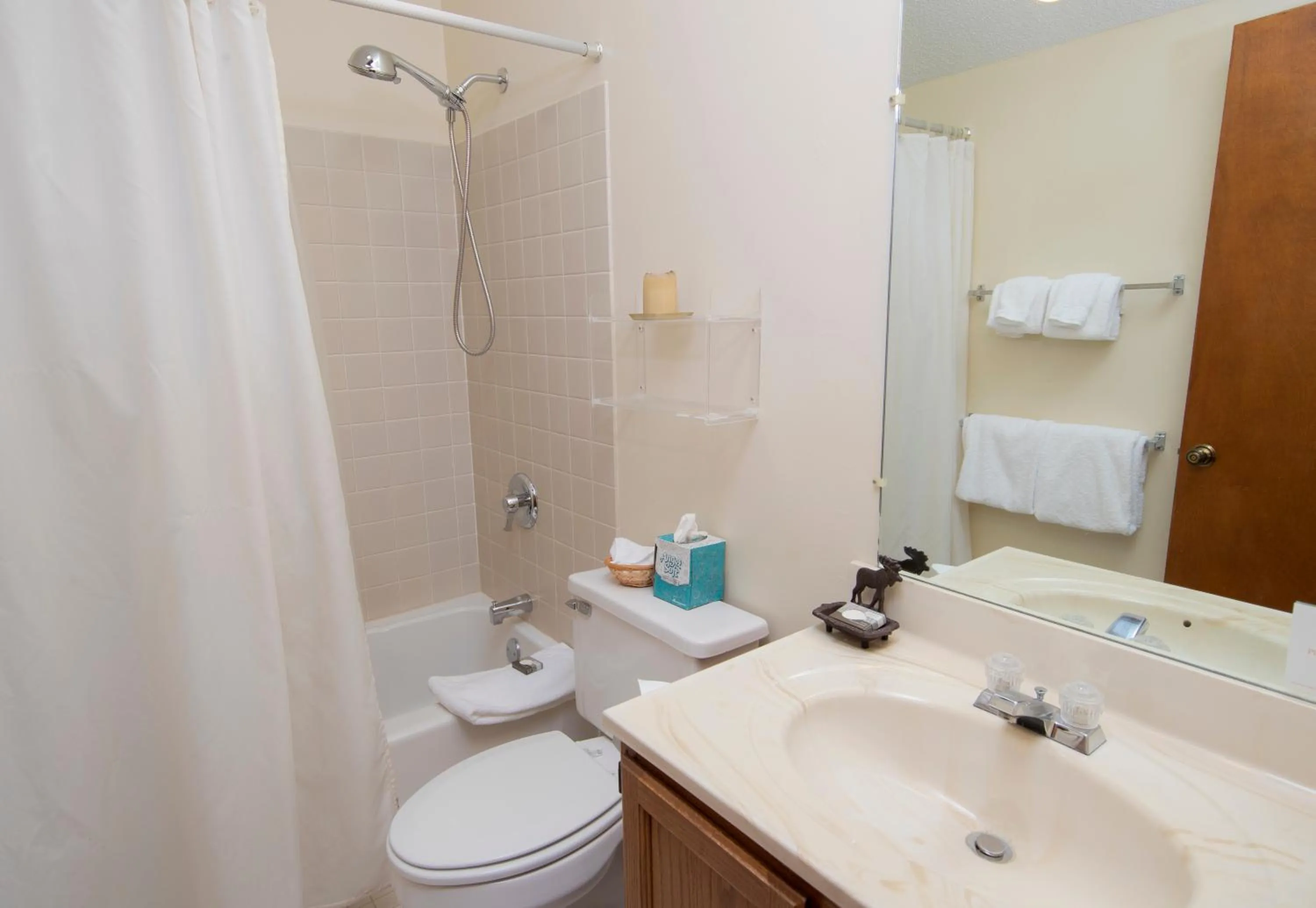 Okemo Mountain Lodging