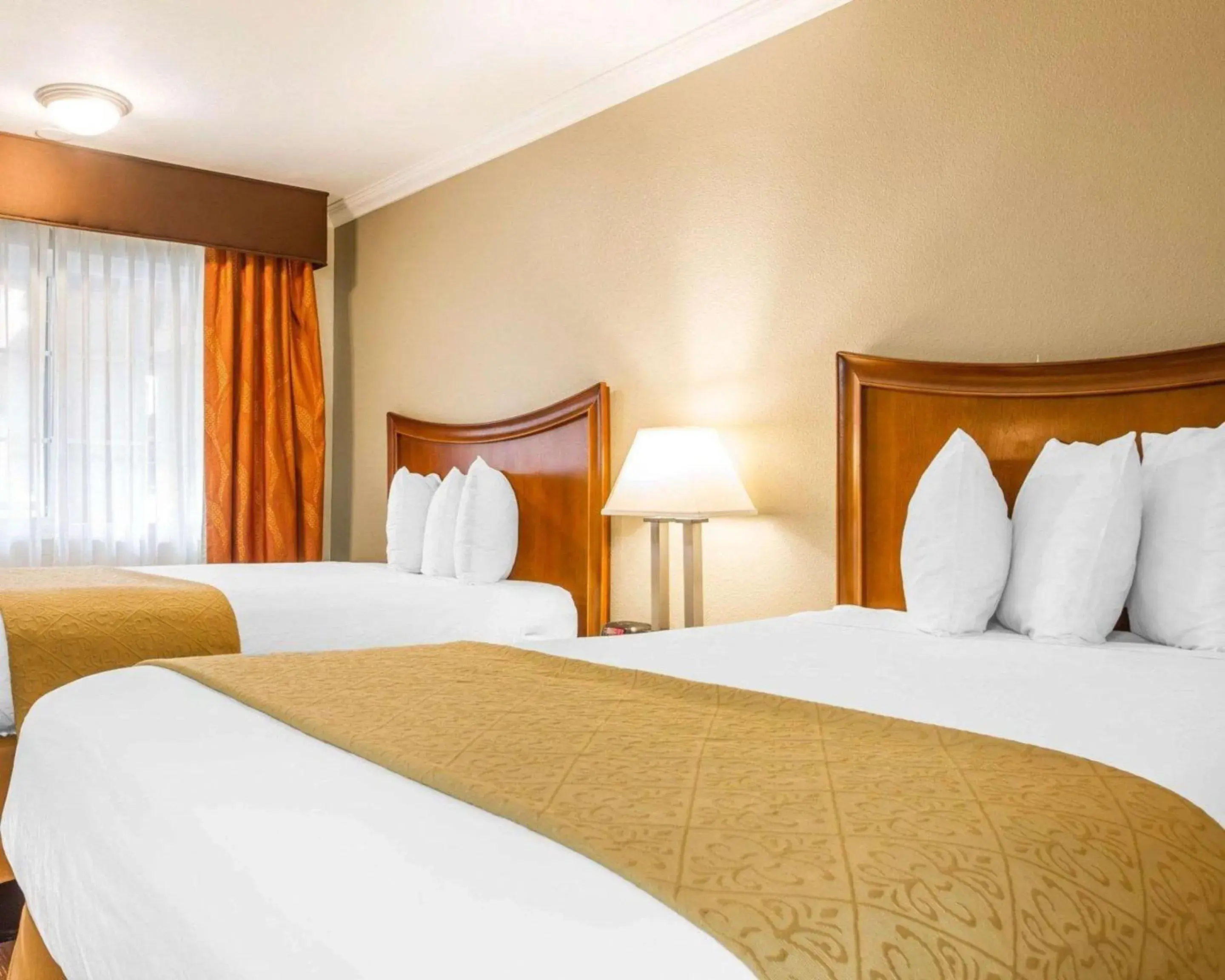 Bedroom, Bed in Quality Inn Sacramento Convention Center Bedroom, Bed in Quality Inn Sacramento Convention Center