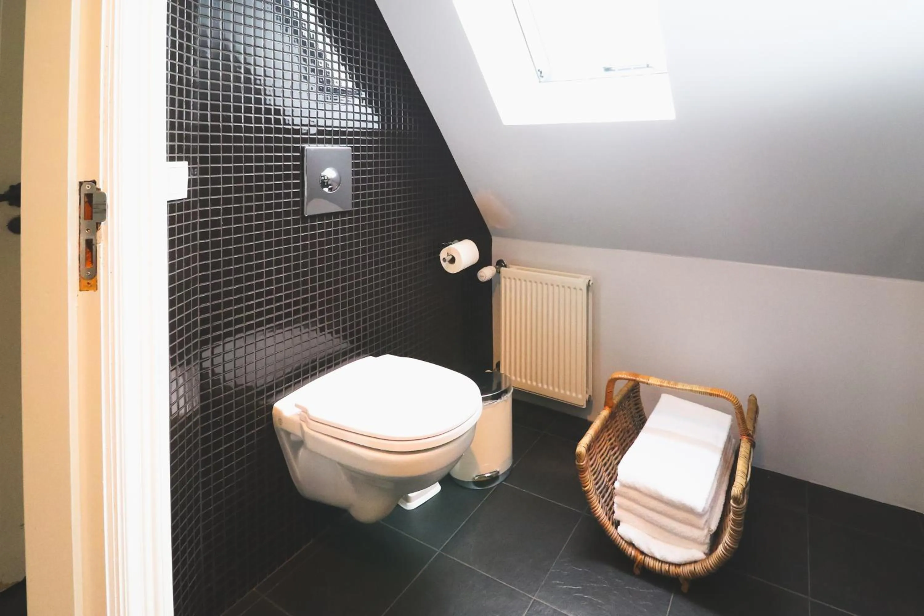 Bathroom in Hoepfner and Tulinius Historical Houses