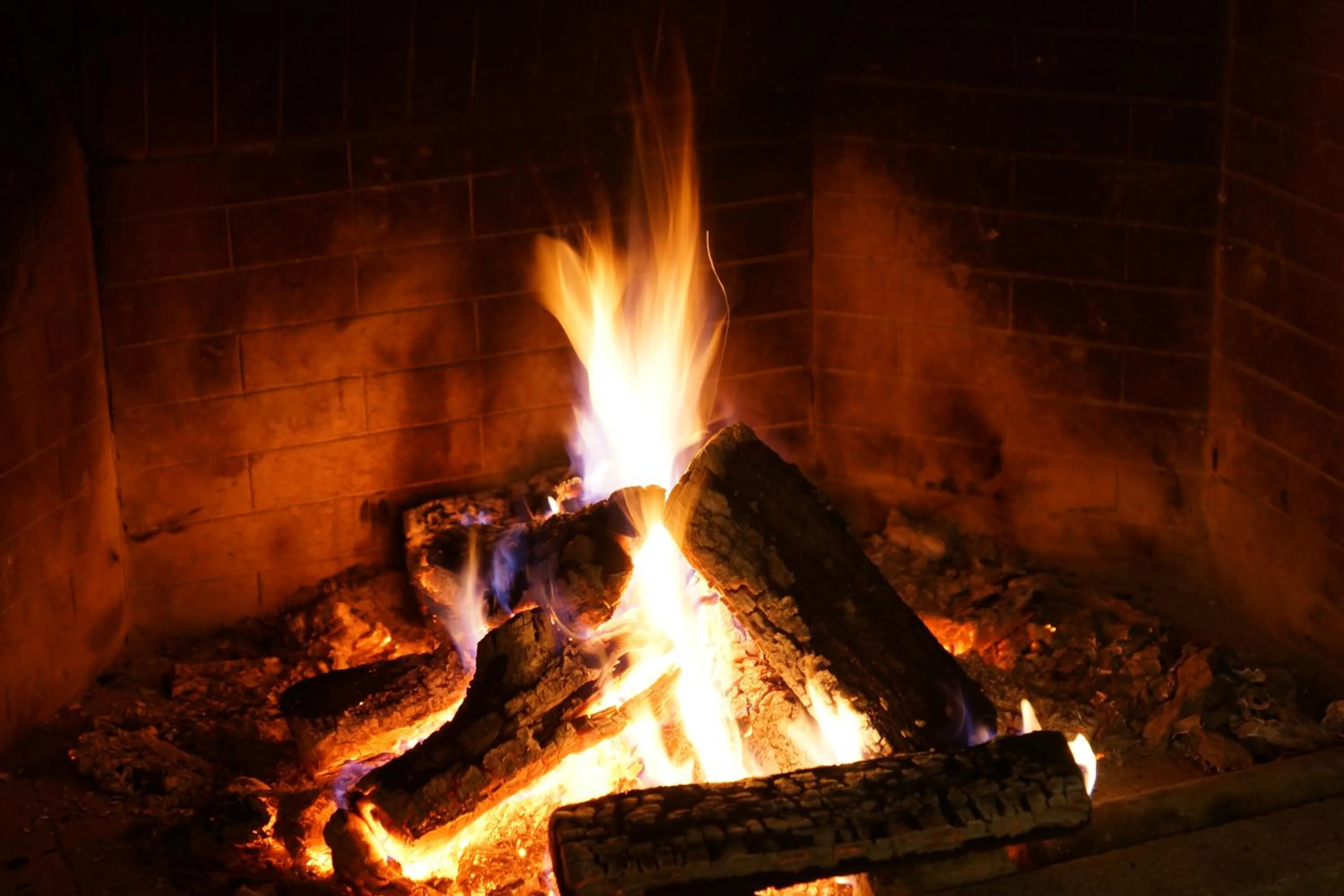 Food and drinks in Wine & Spa Complex Starosel