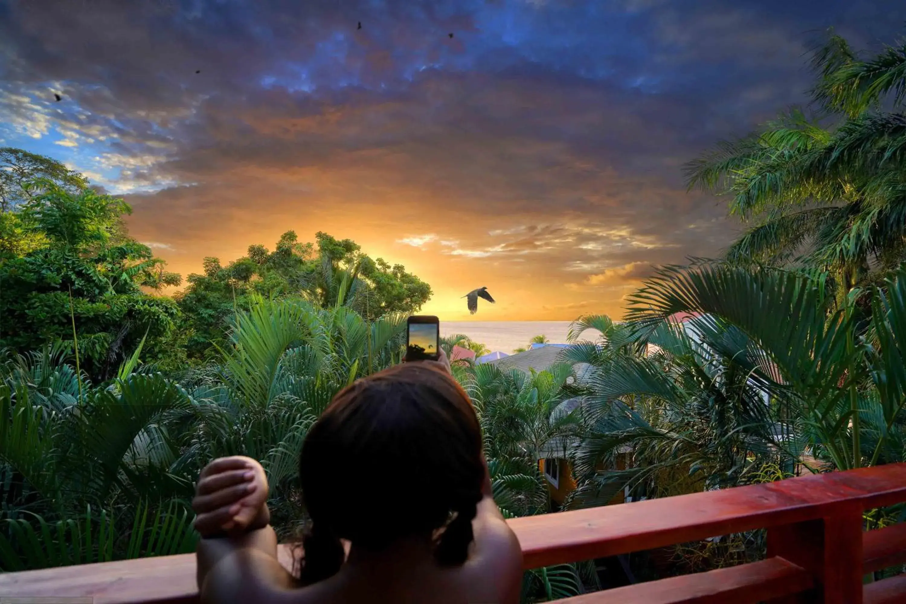 Double Room with Garden View - single occupancy in mame trees Double Room with Garden View - single occupancy in mame trees