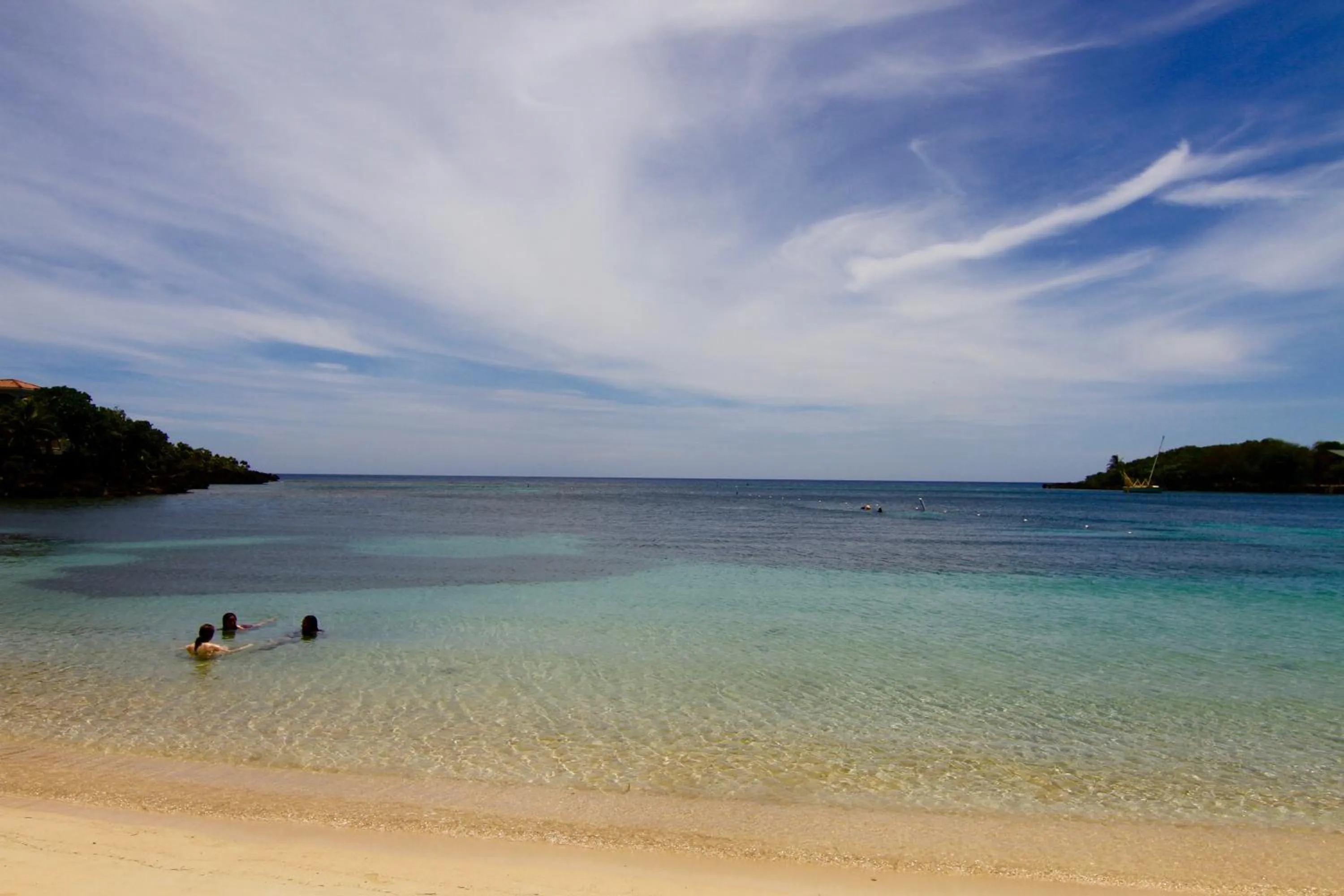 On site in mame trees