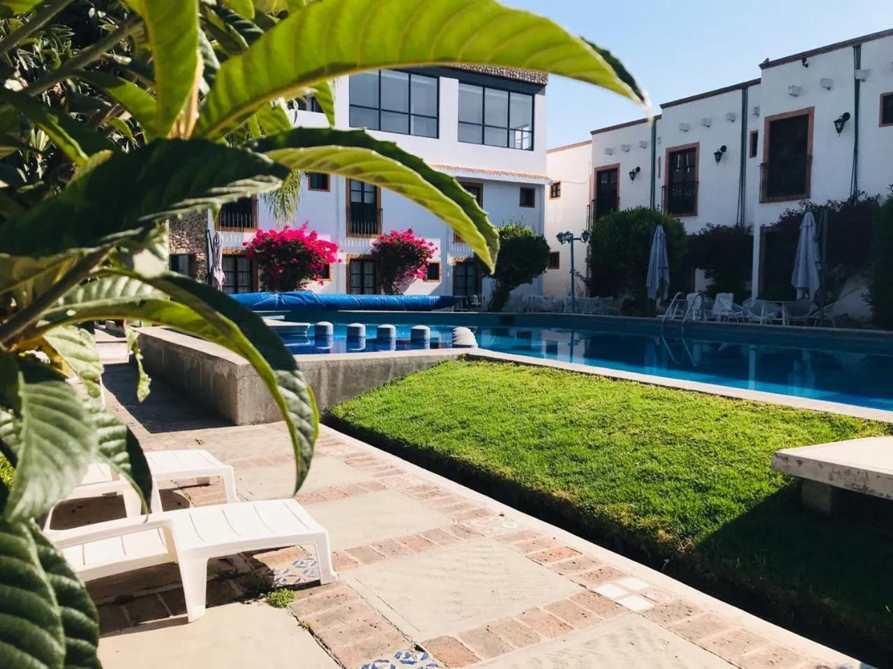 Garden in Hotel La Mansión