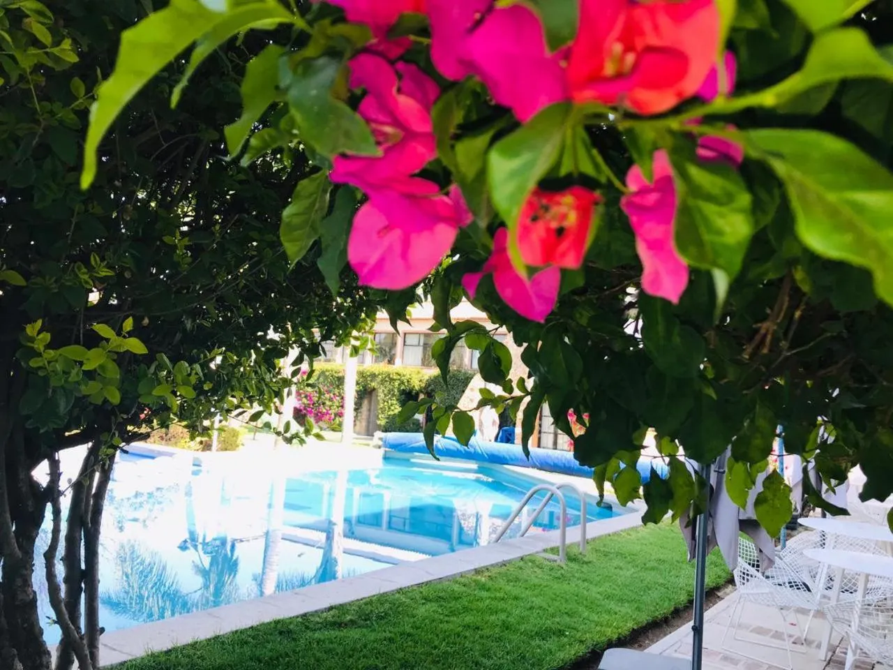 Garden view in Hotel La Mansión