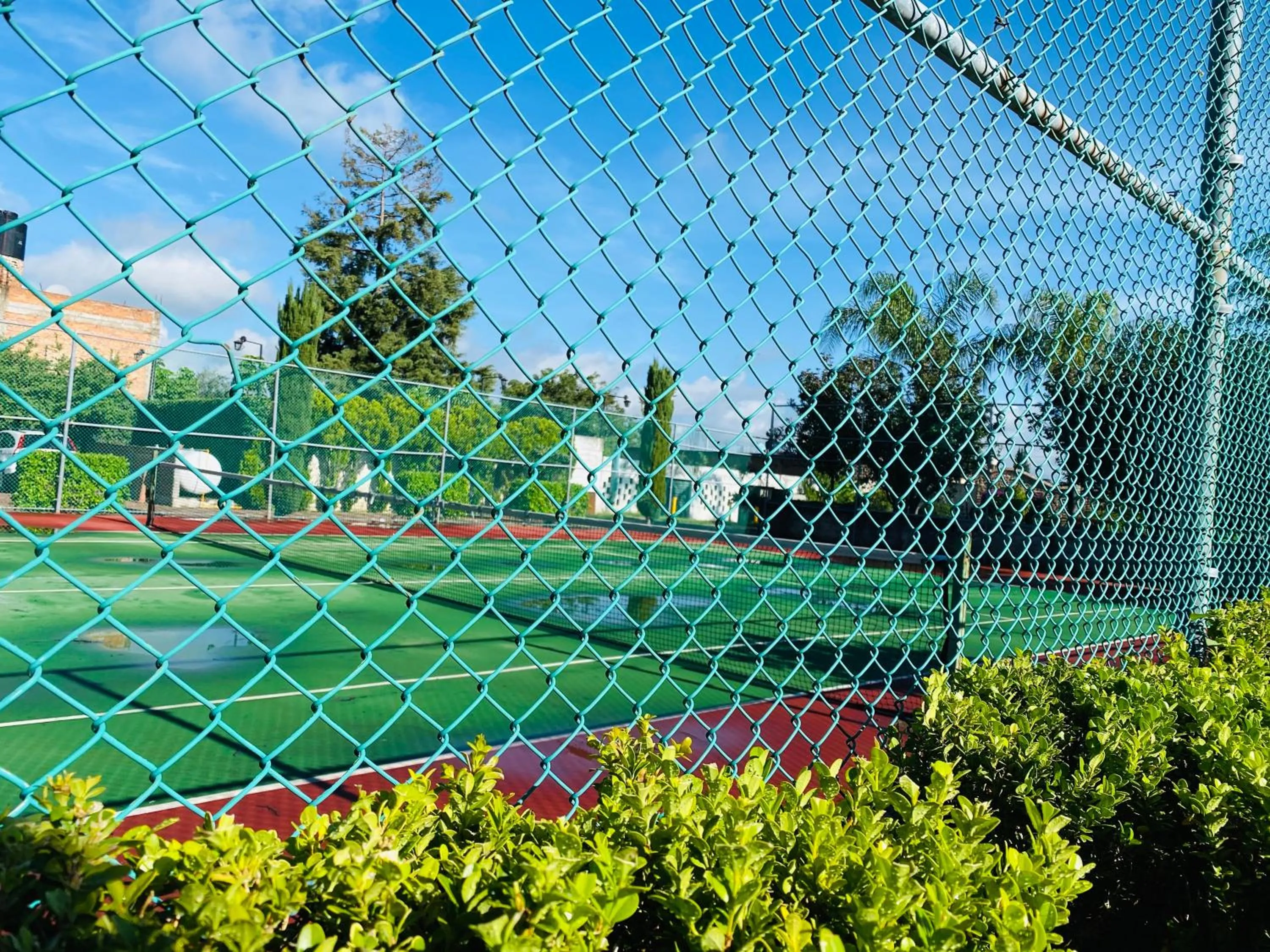 Garden in Hotel La Mansión