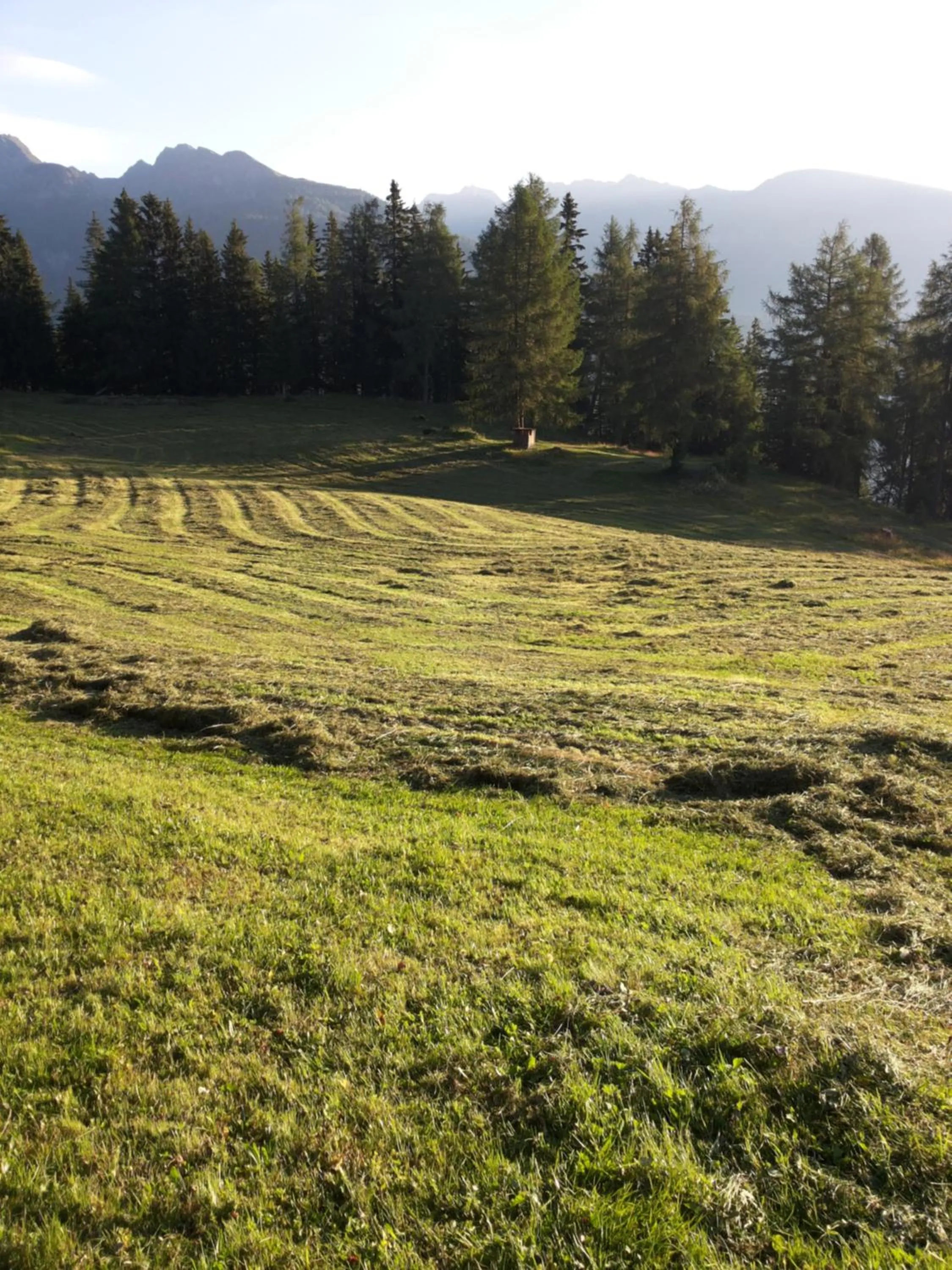 Brandstättergut