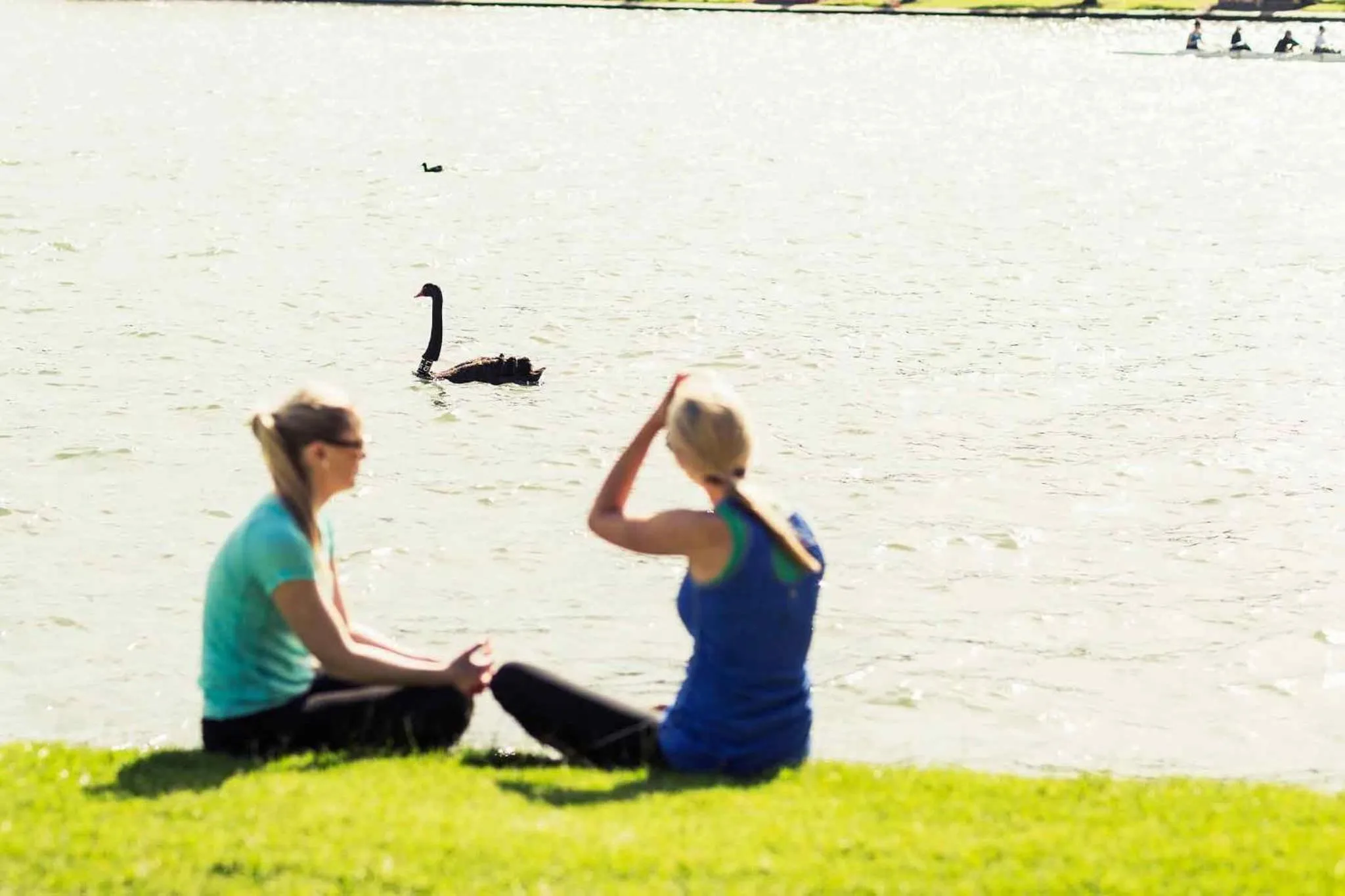 Other in Pullman Melbourne Albert Park