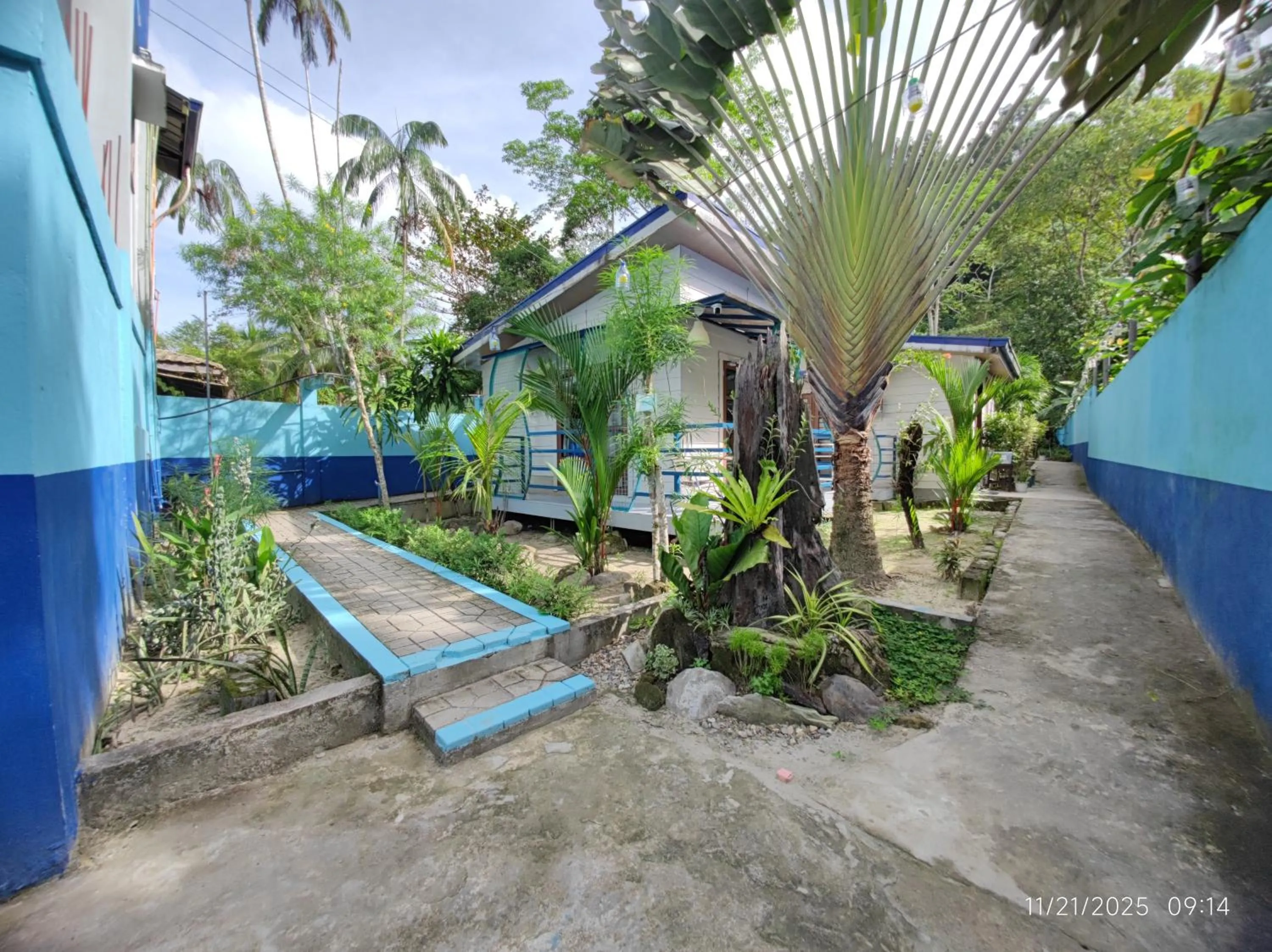 Garden in Ferellee Beach Front Inn