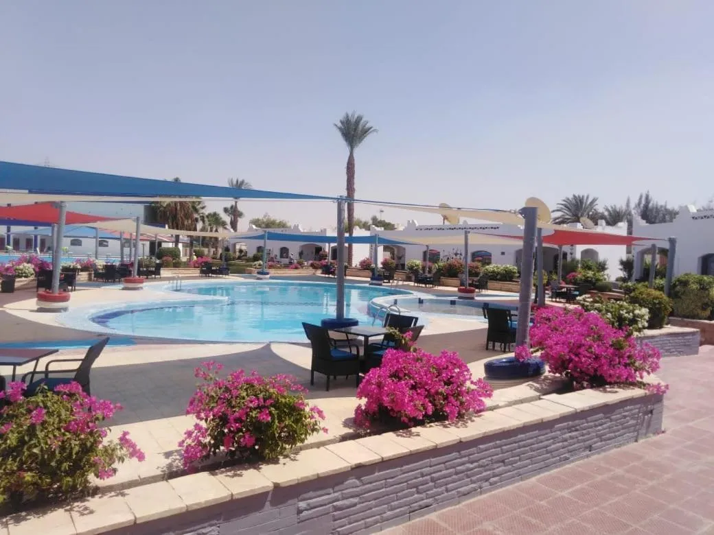 Swimming pool in Assiut Cement Hotel