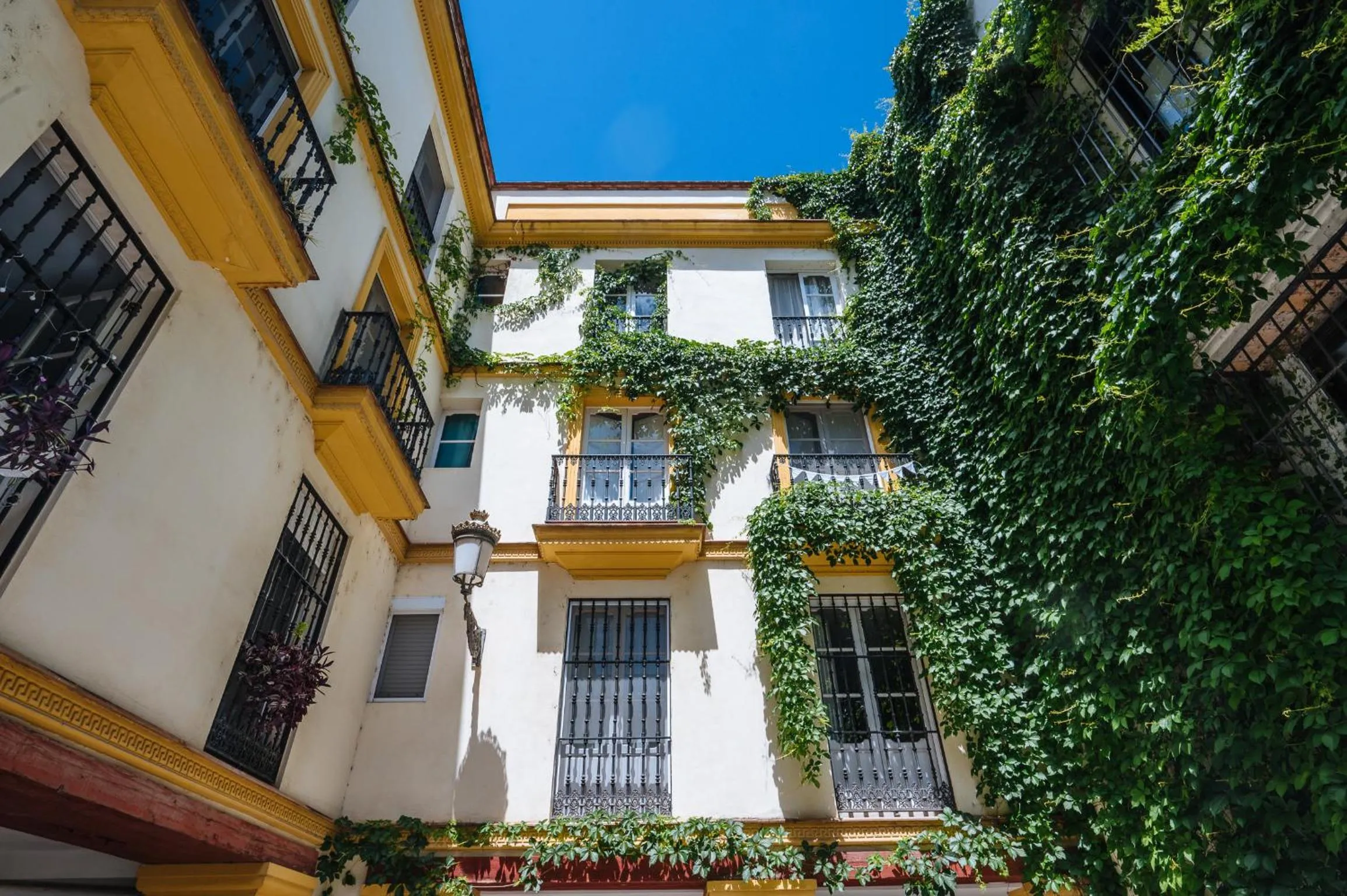 Property building in Vidrio 36