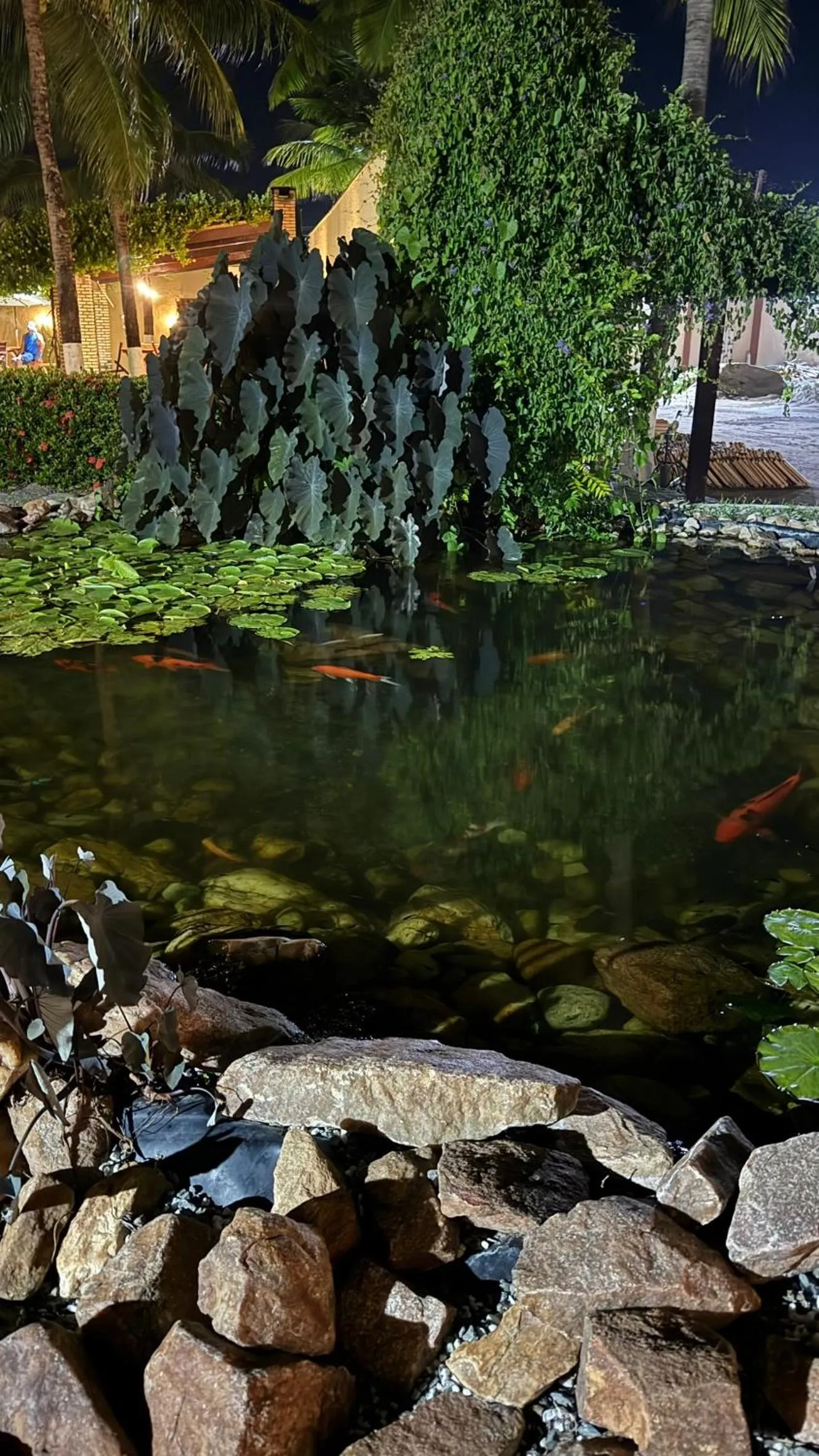 Night in Hotel & Pousada Italia Beach - Porto Das Dunas