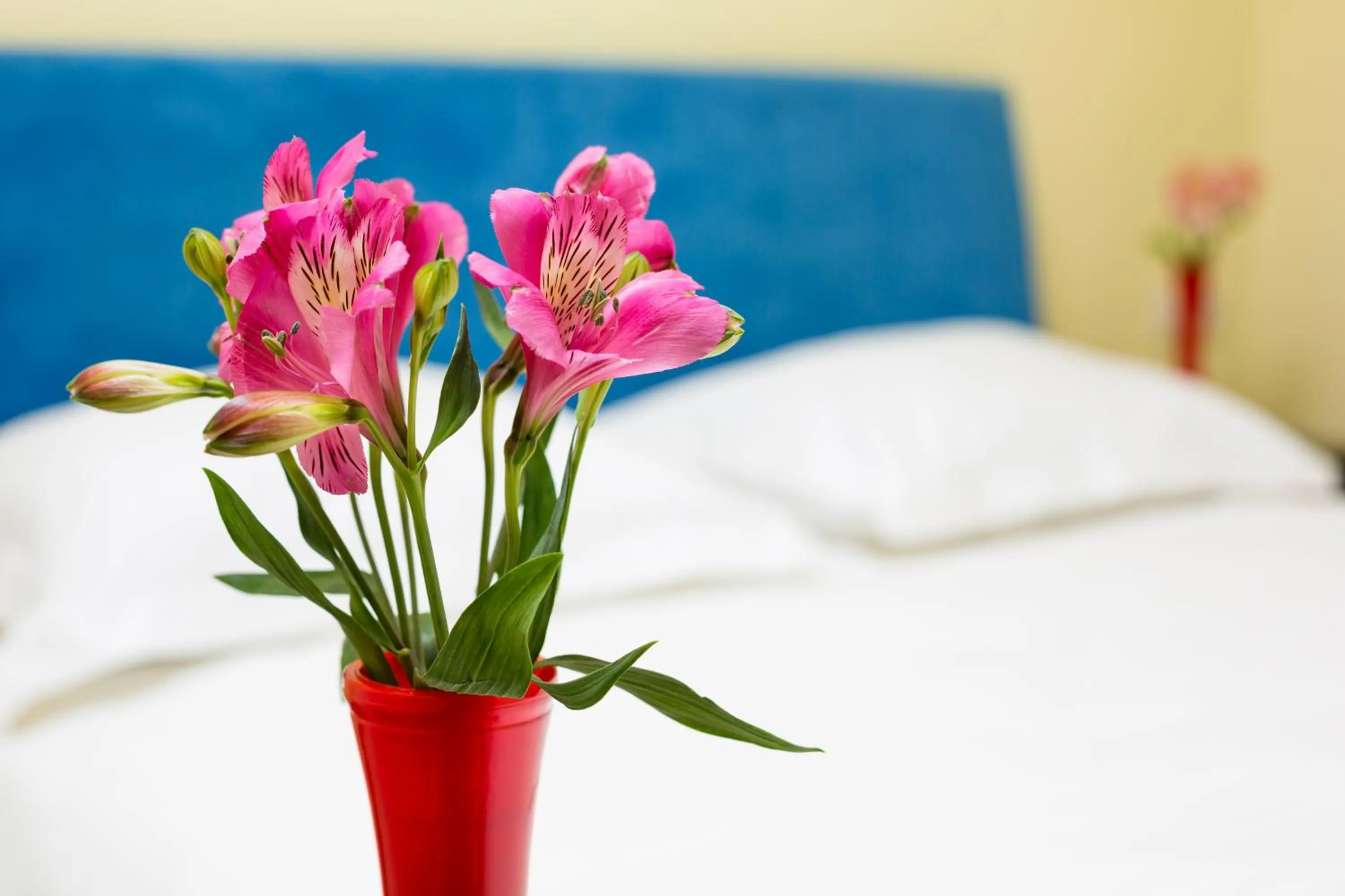 Photo of the whole room, Bed in Apartment Fedkovycha