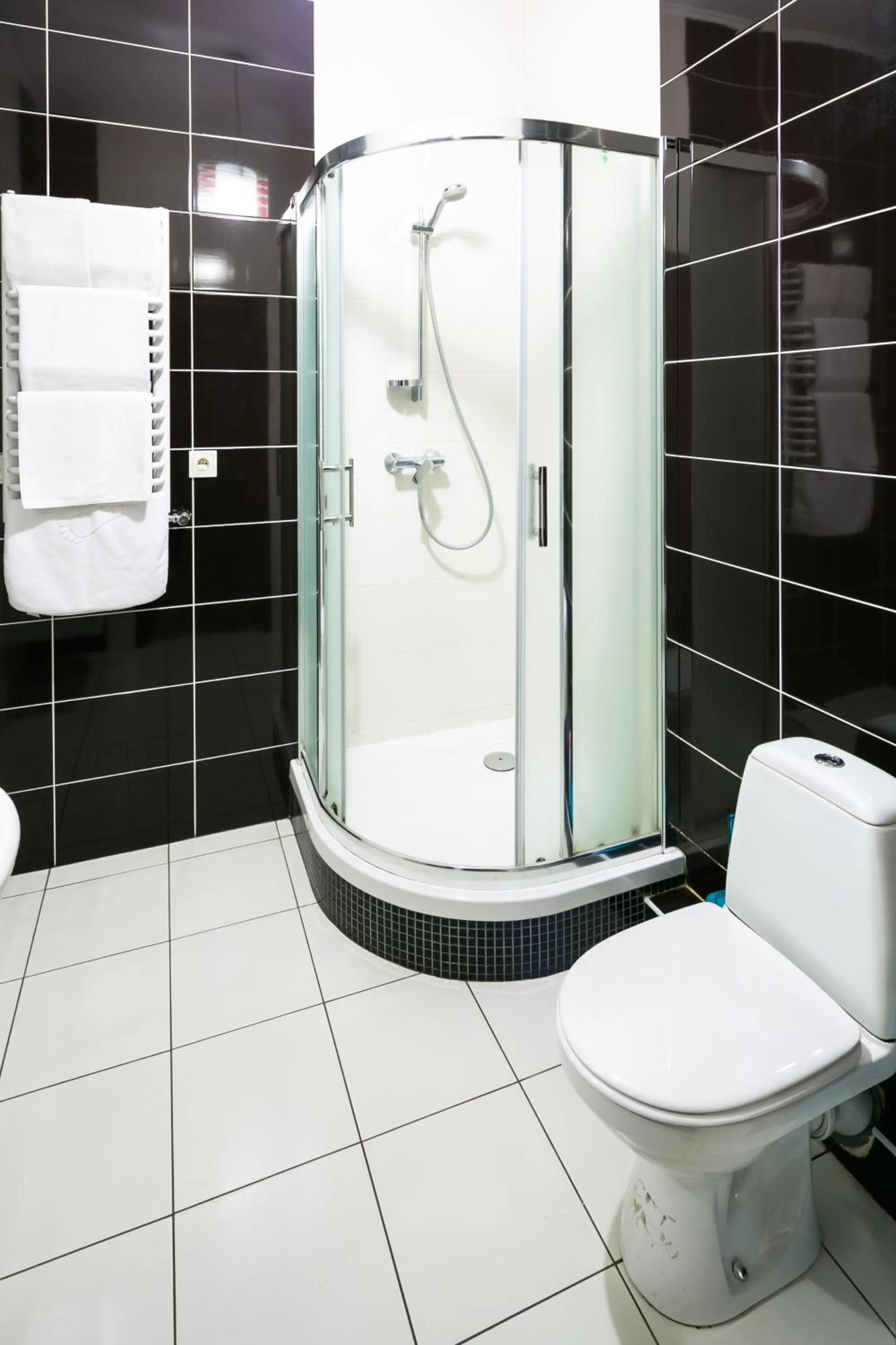 Bathroom in Apartment Fedkovycha