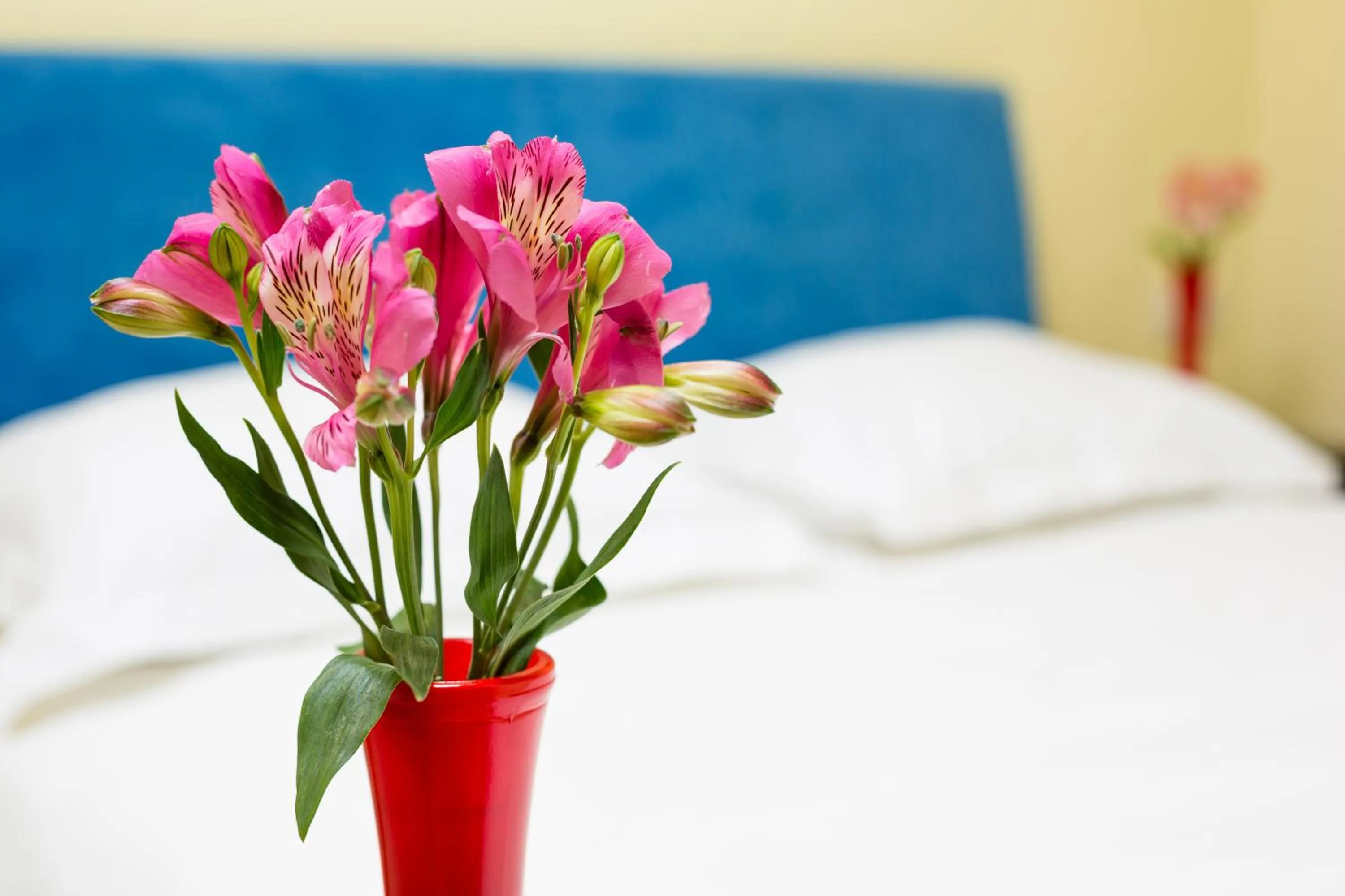 Photo of the whole room, Bed in Apartment Fedkovycha