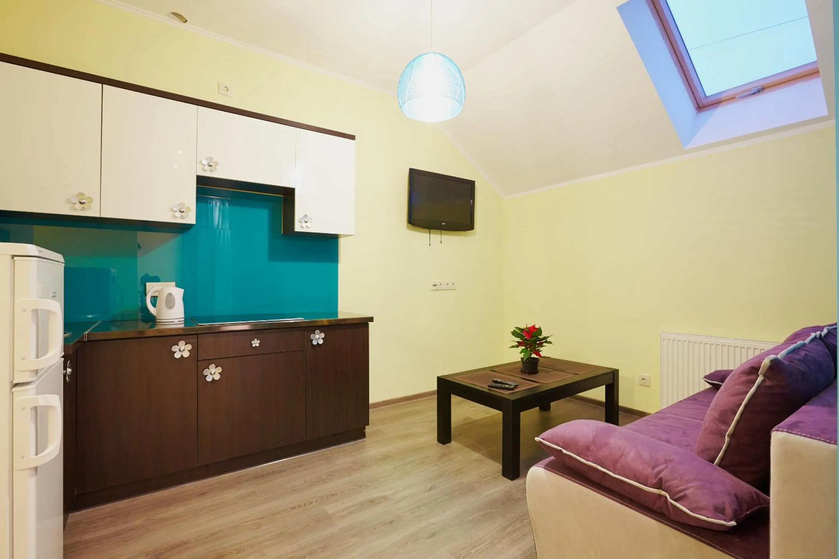 TV and multimedia in Apartment Fedkovycha