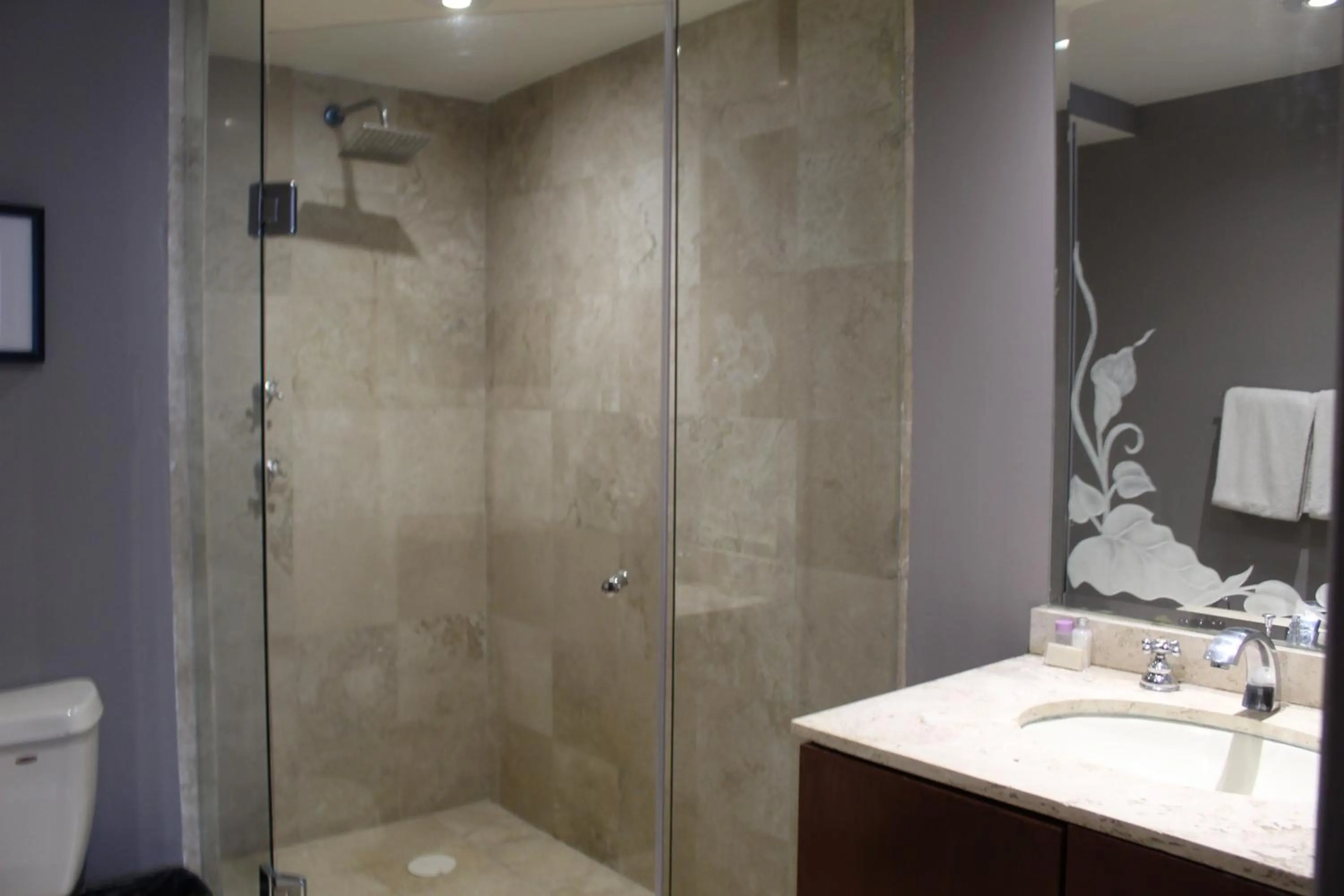 Shower in Residence L´ Heritage Hipólito Taine by BlueBay