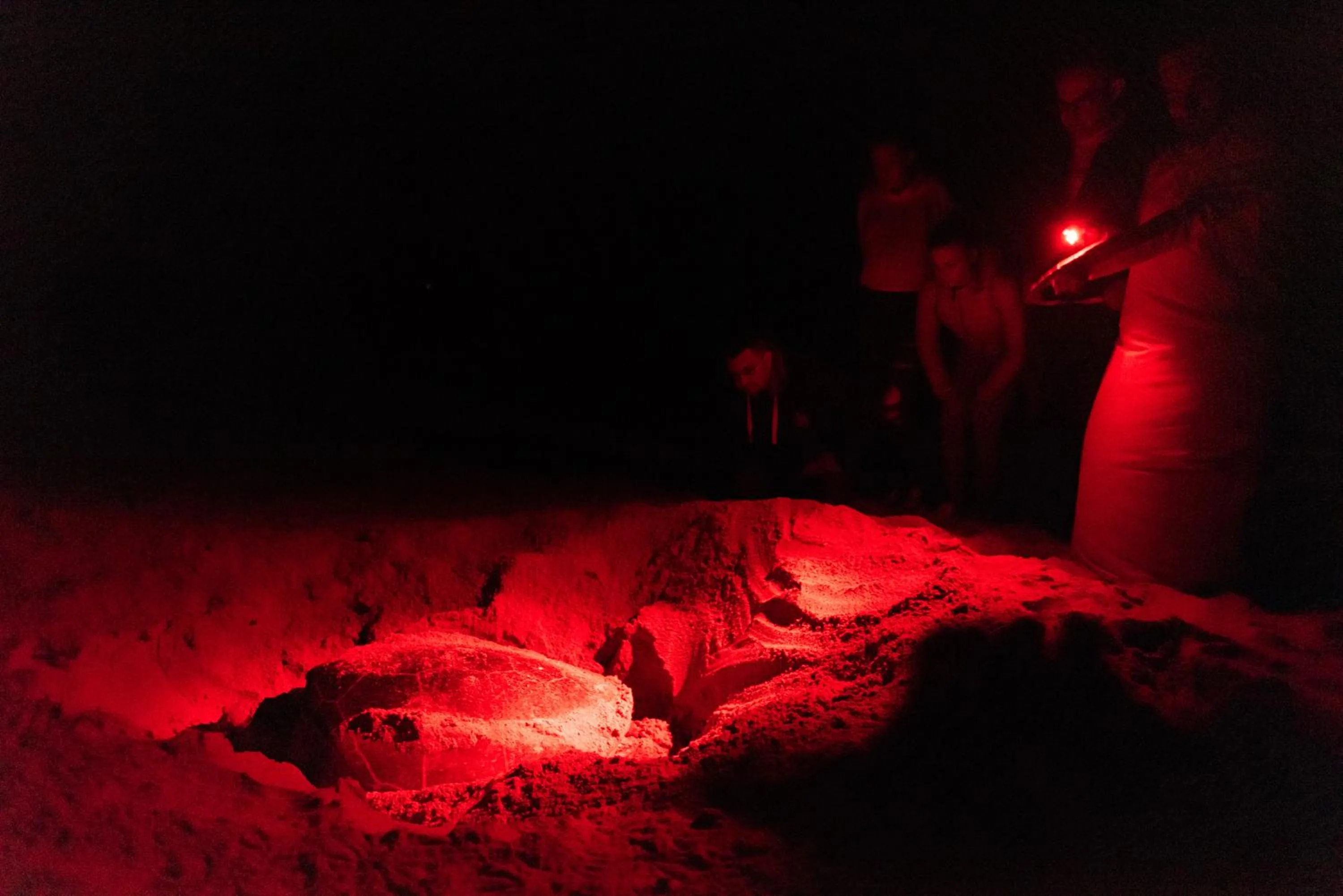 Nearby landmark in Ras Al Jinz Turtle Reserve