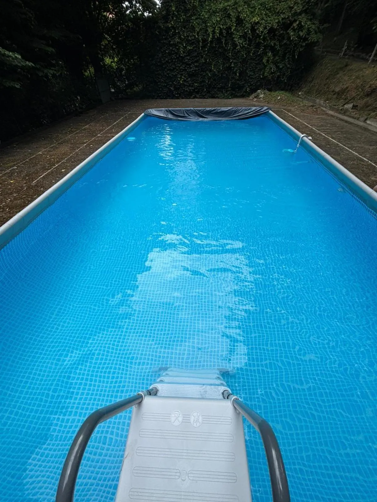 Swimming pool in Villa Magnolia Lago Maggiore