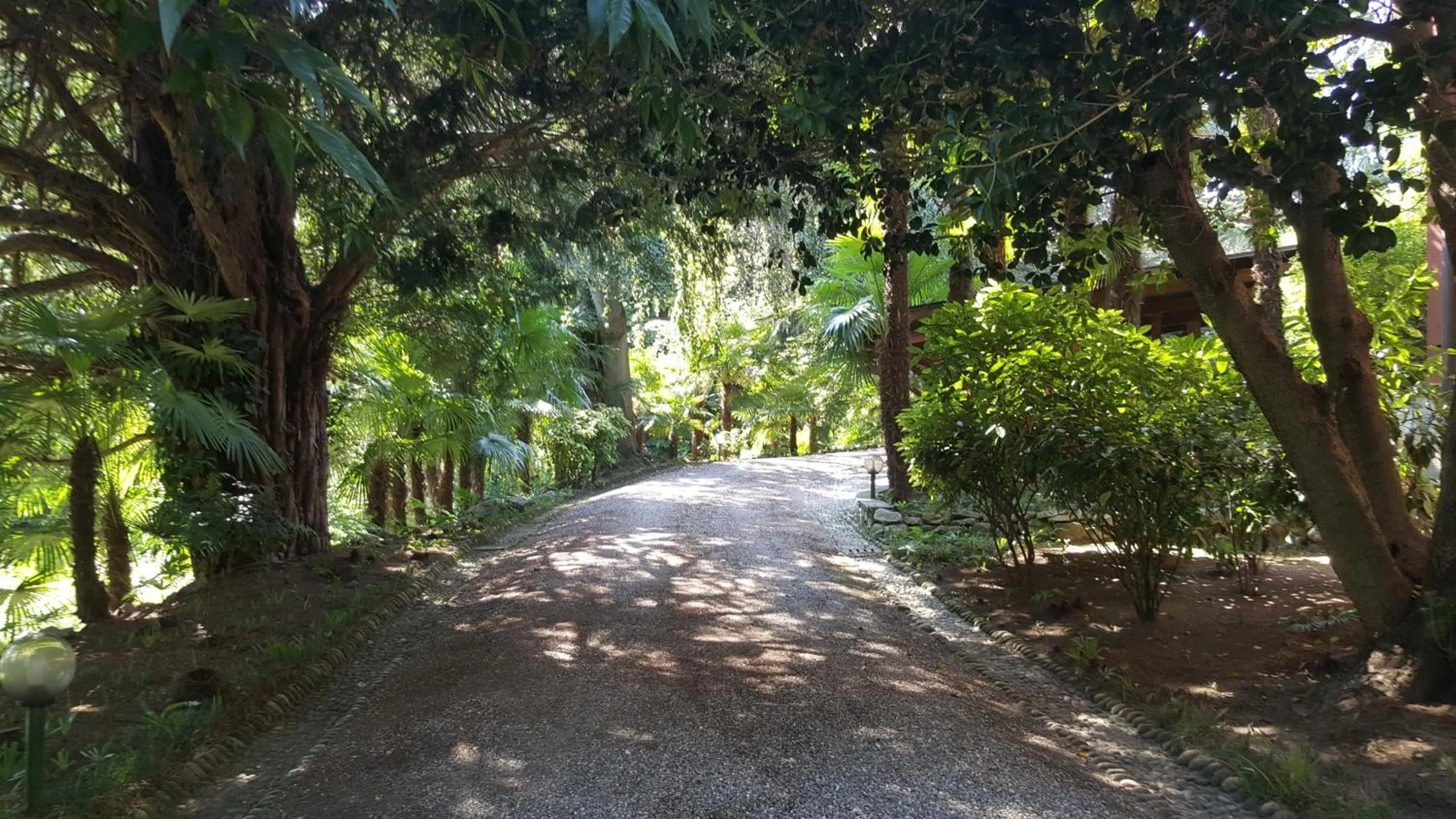 Natural landscape in Villa Magnolia Lago Maggiore
