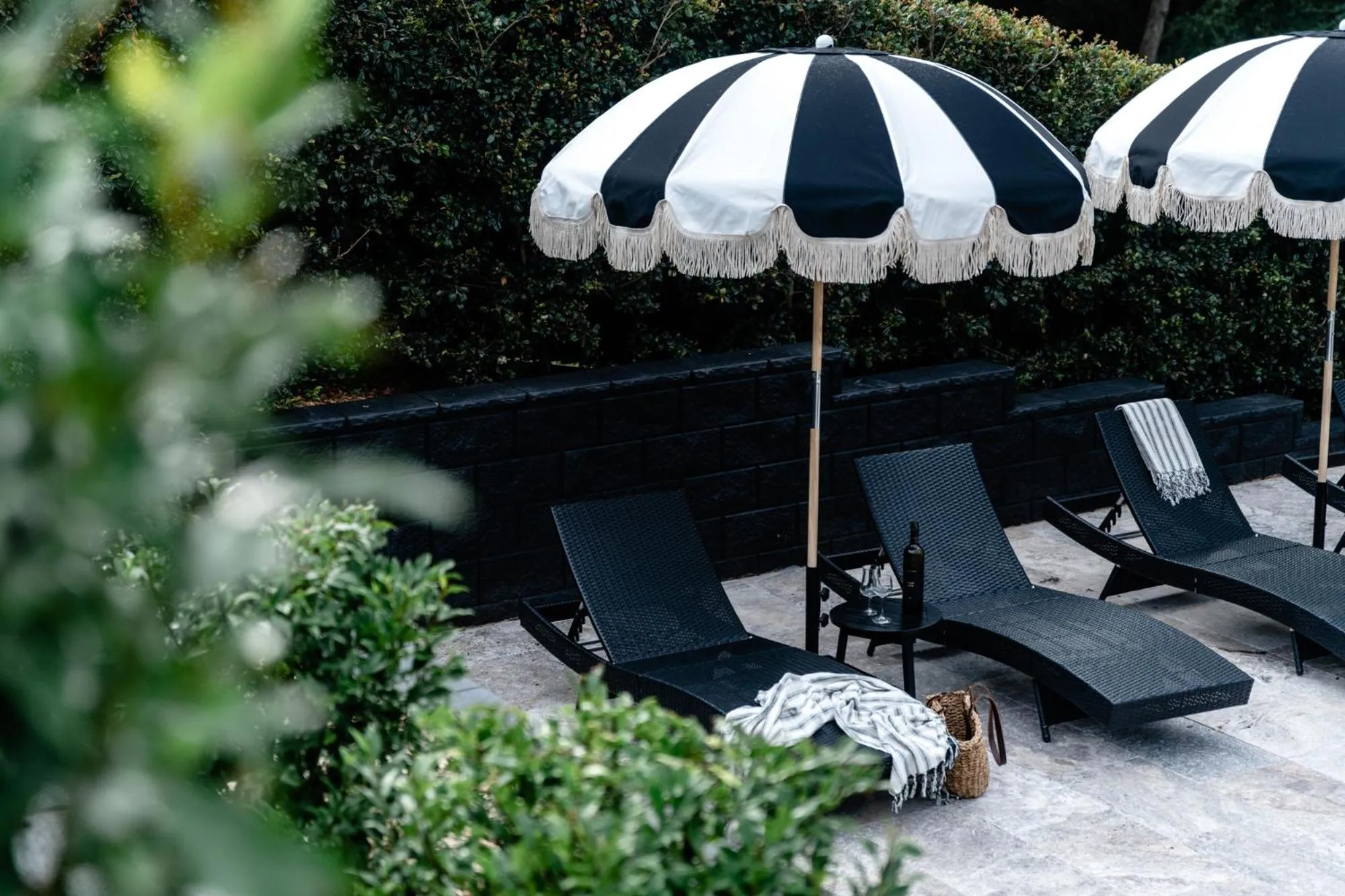 Garden in Maleny Lodge