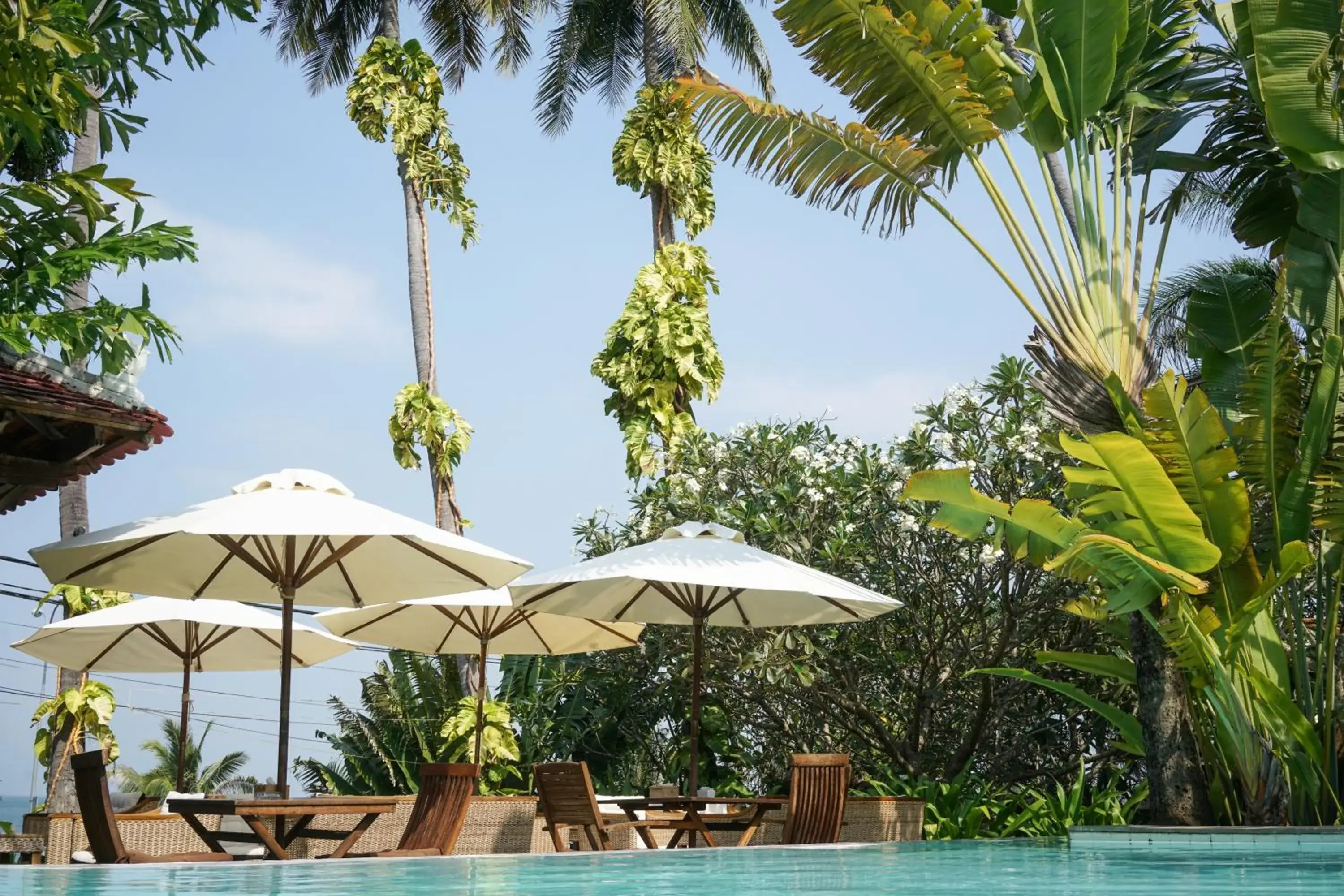 Swimming pool in Mealea Resort Swimming pool in Mealea Resort