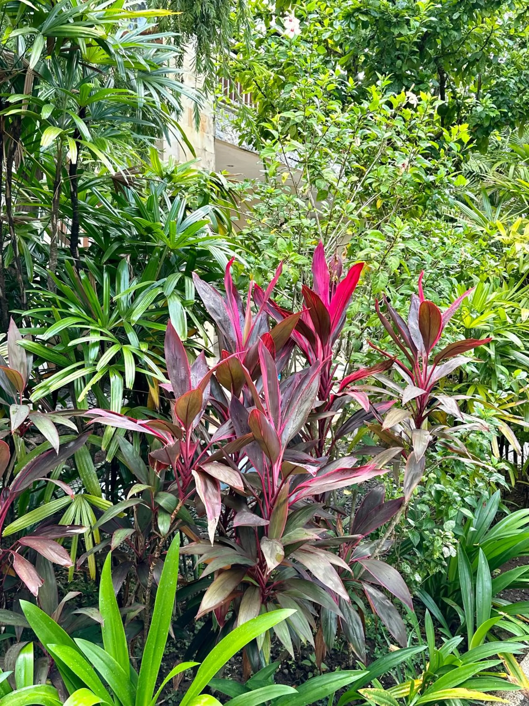 Garden in Orlowsky Discovery Candidasa Hotel