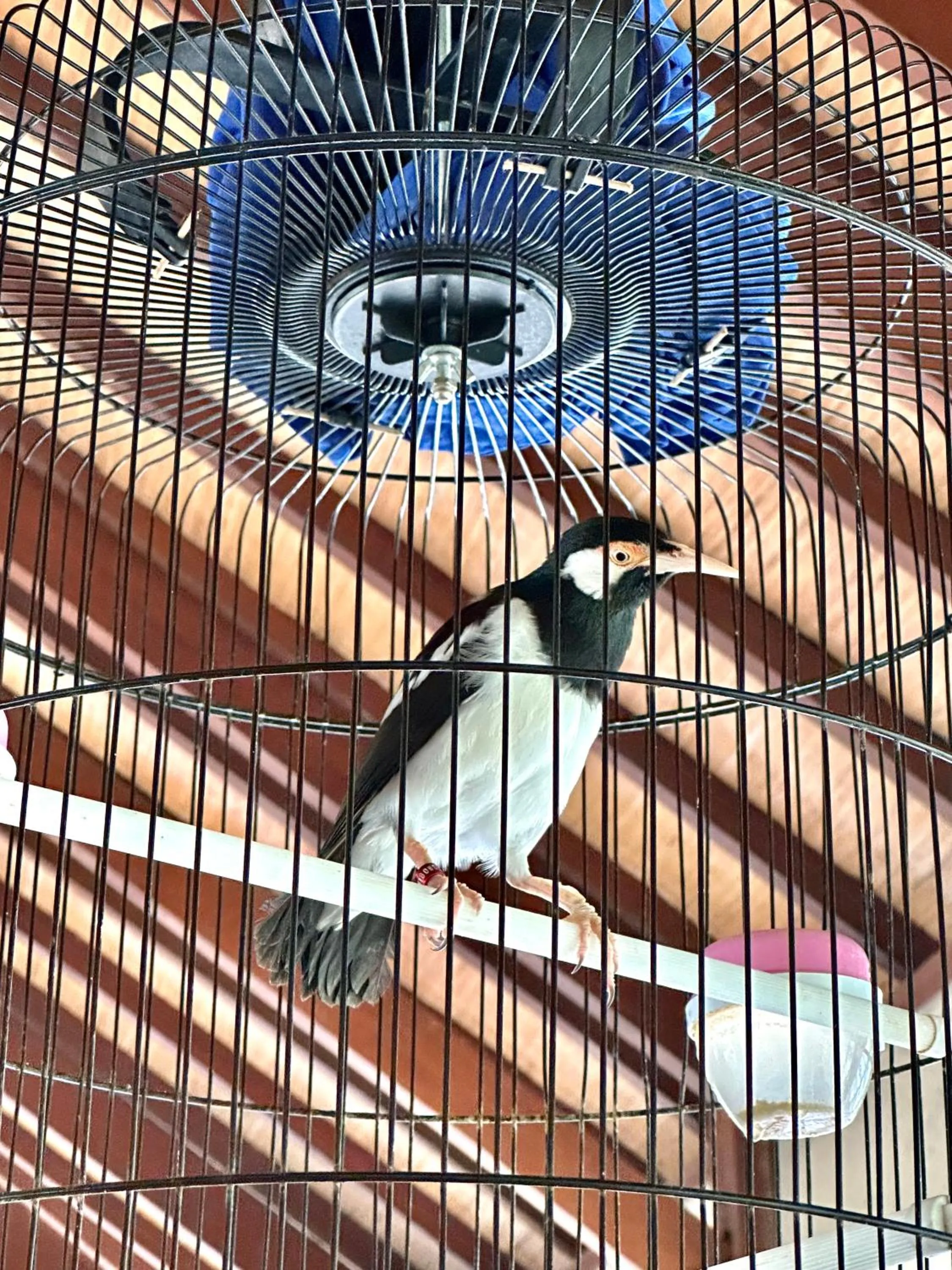 Lobby or reception in Orlowsky Discovery Candidasa Hotel