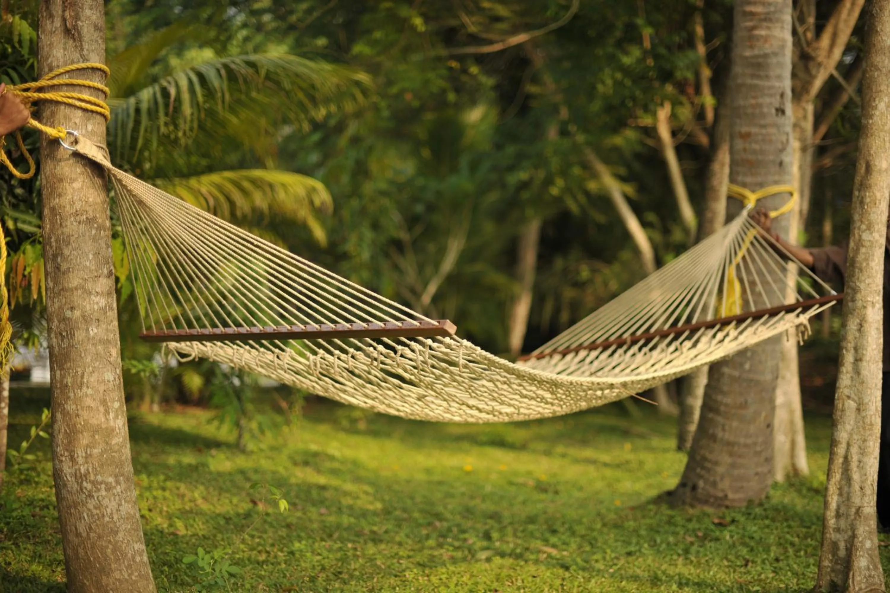 Garden in Club Mahindra Ashtamudi