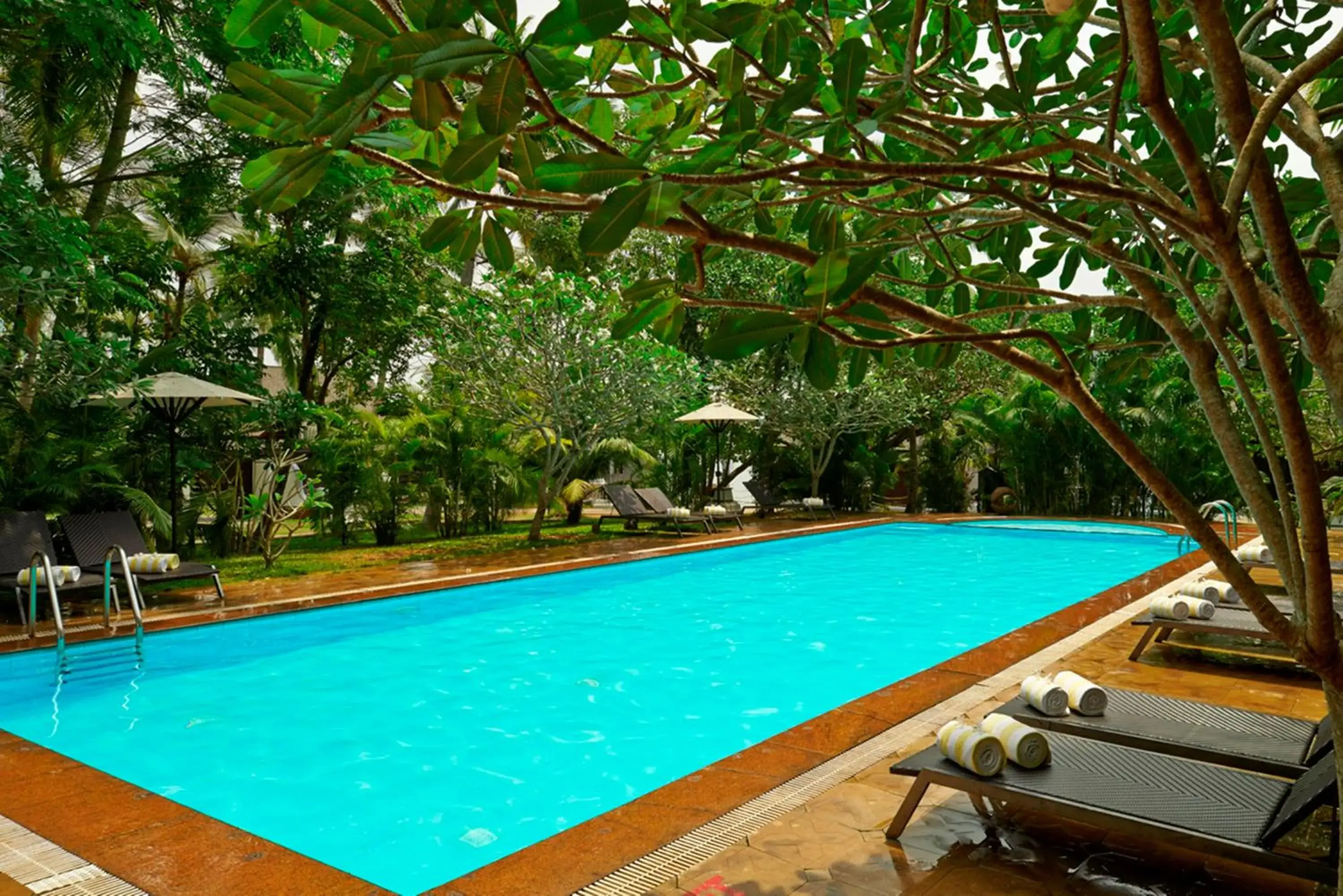 Swimming pool in Club Mahindra Ashtamudi Swimming pool in Club Mahindra Ashtamudi