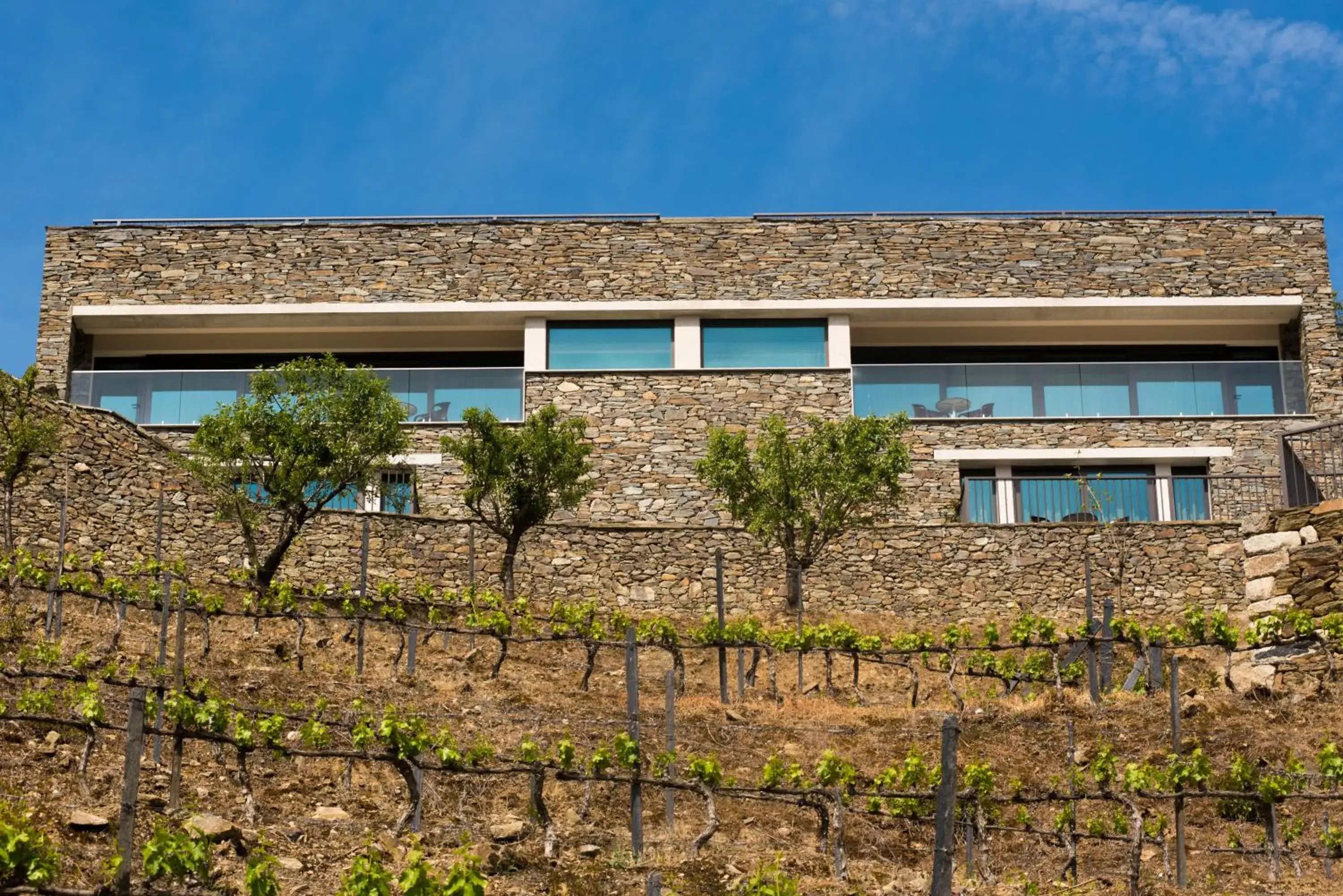 Property building in Vila Gale Douro Vineyards Property building in Vila Gale Douro Vineyards