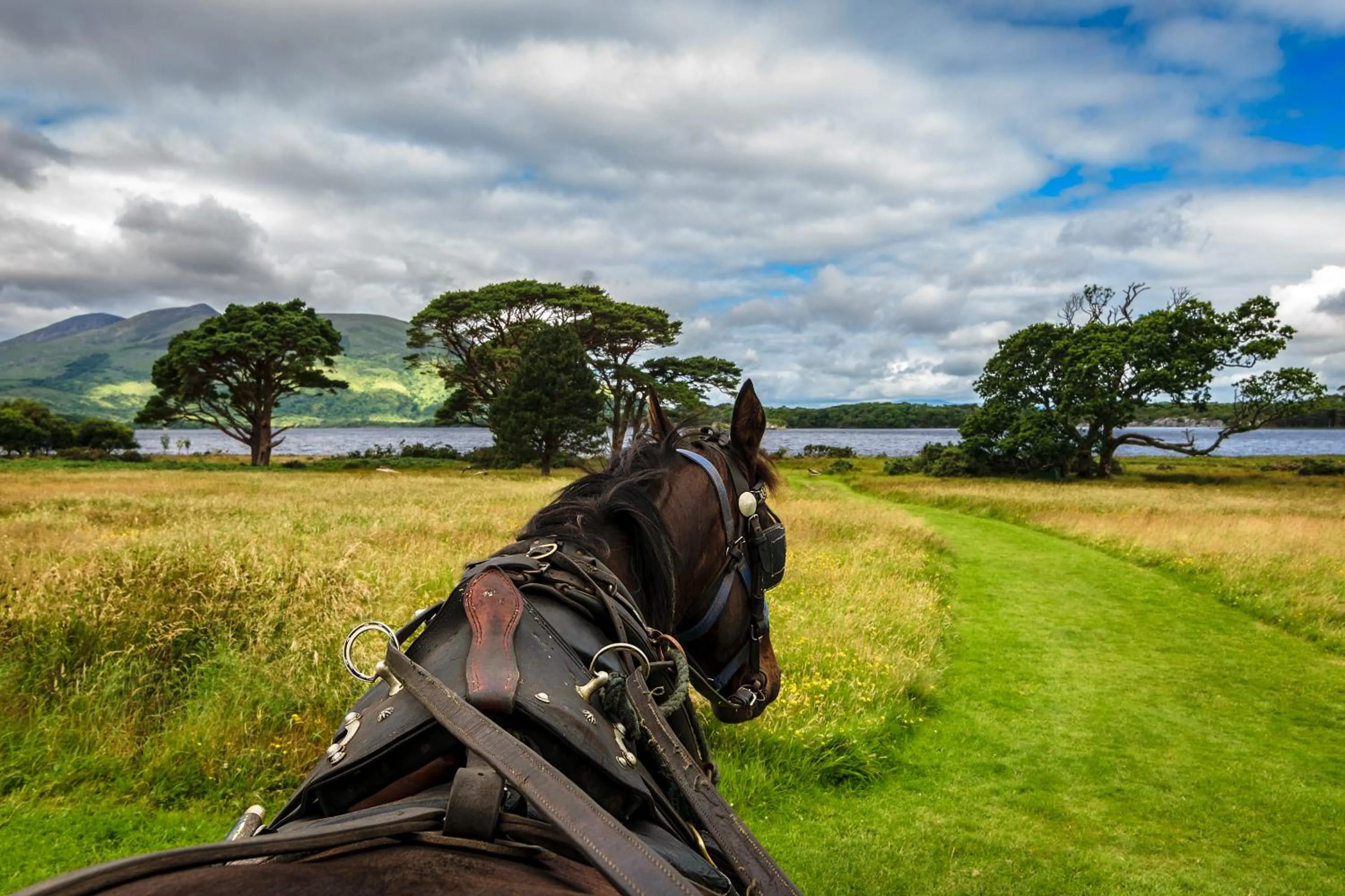 Nearby landmark in Hotel Killarney