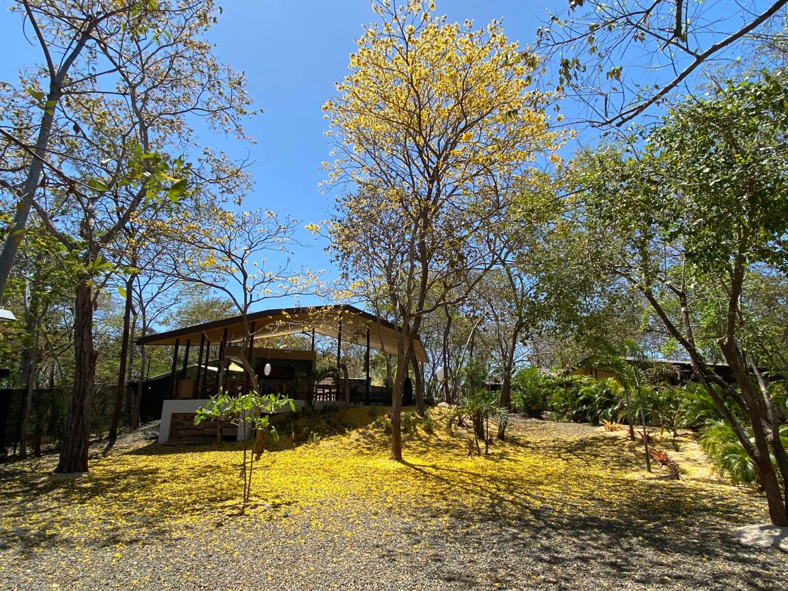 Natural landscape in Villas Kalei