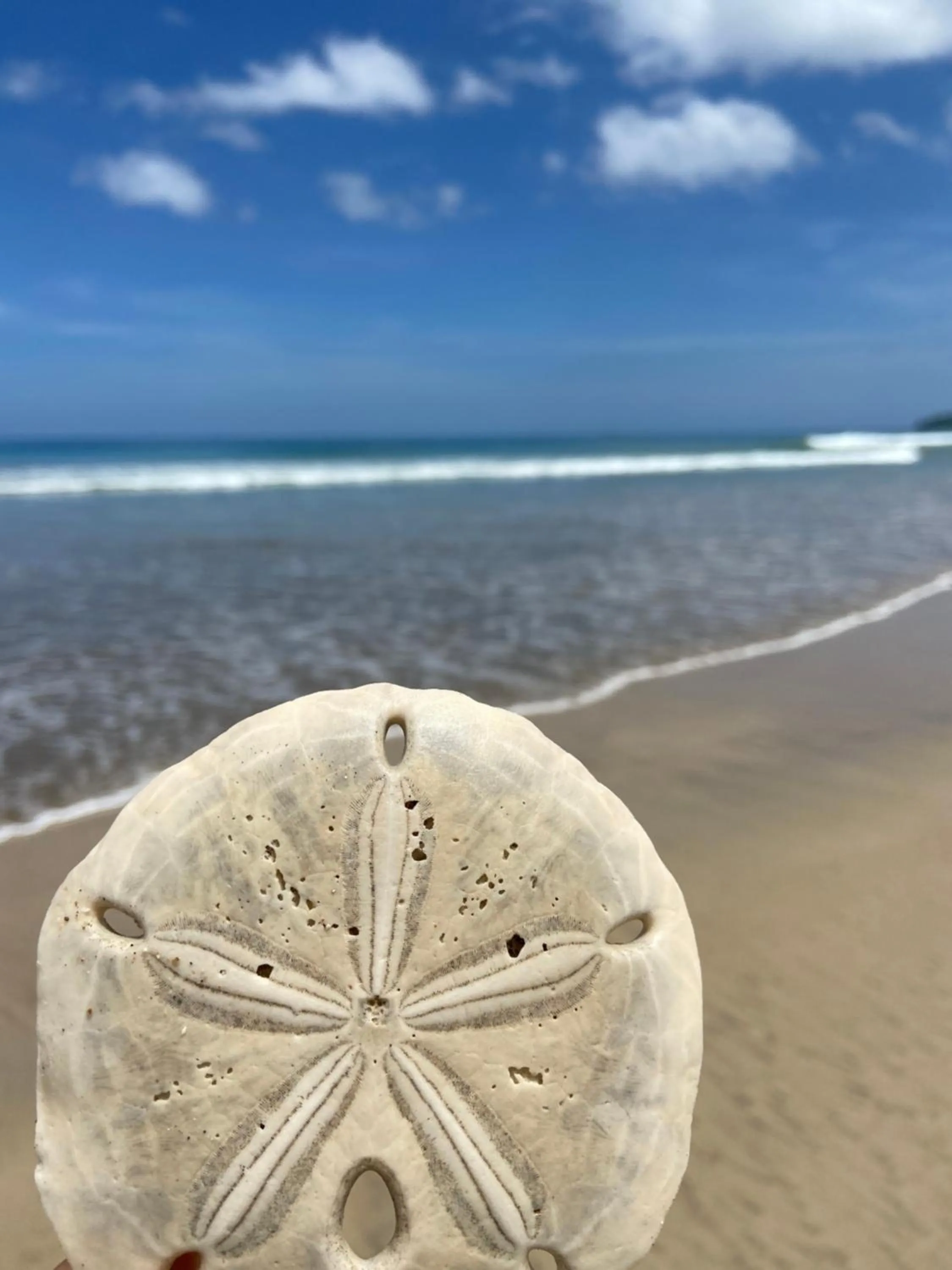 Beach in Villas Kalei