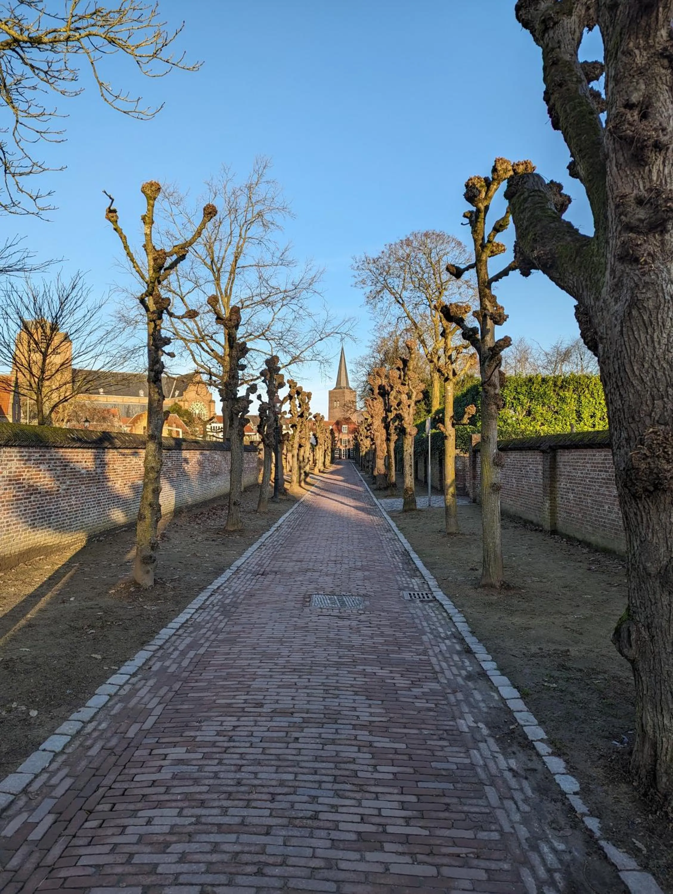 Day in OTTO Boutique Hotel