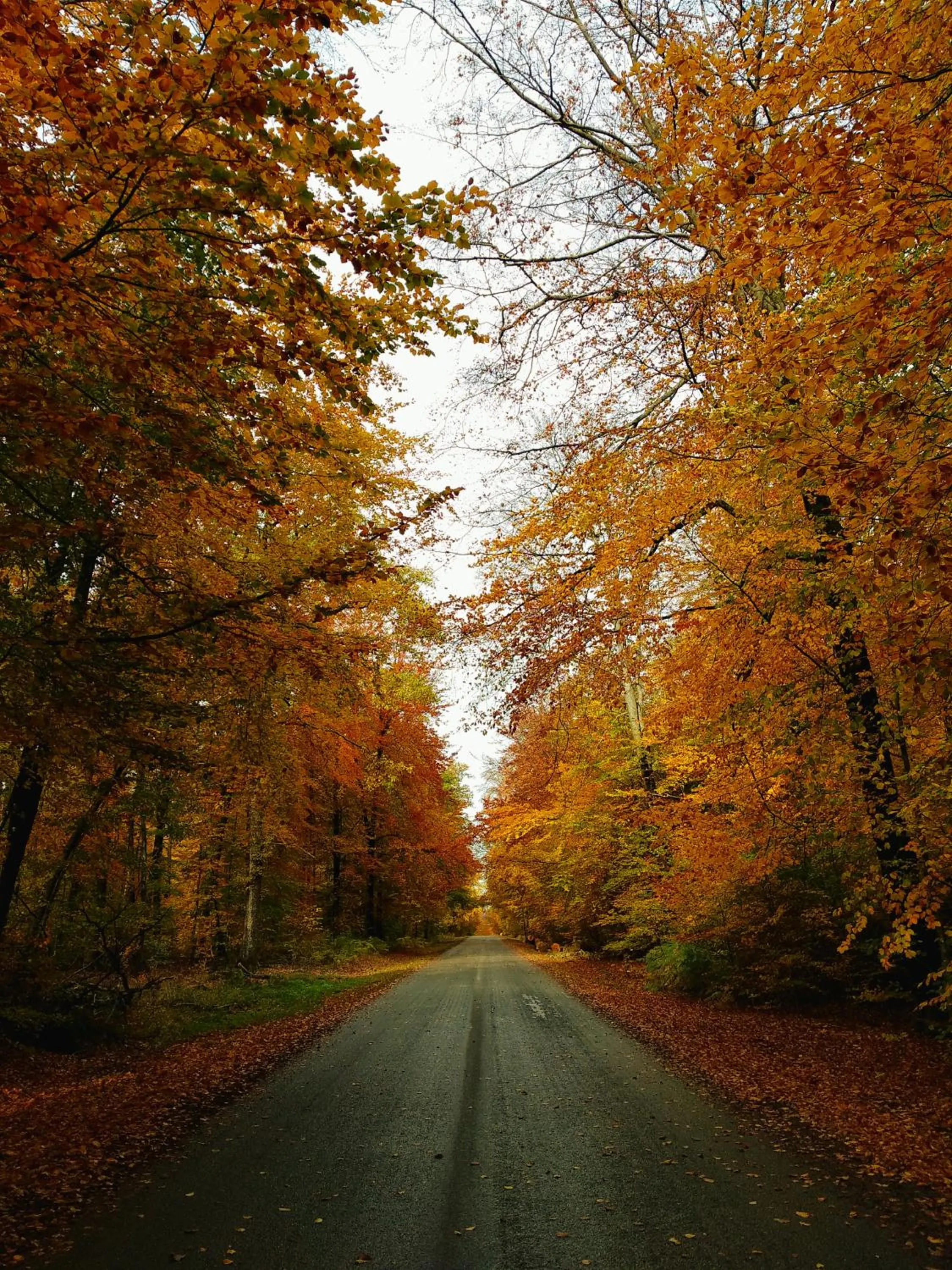 Les2sources Bike-B&B