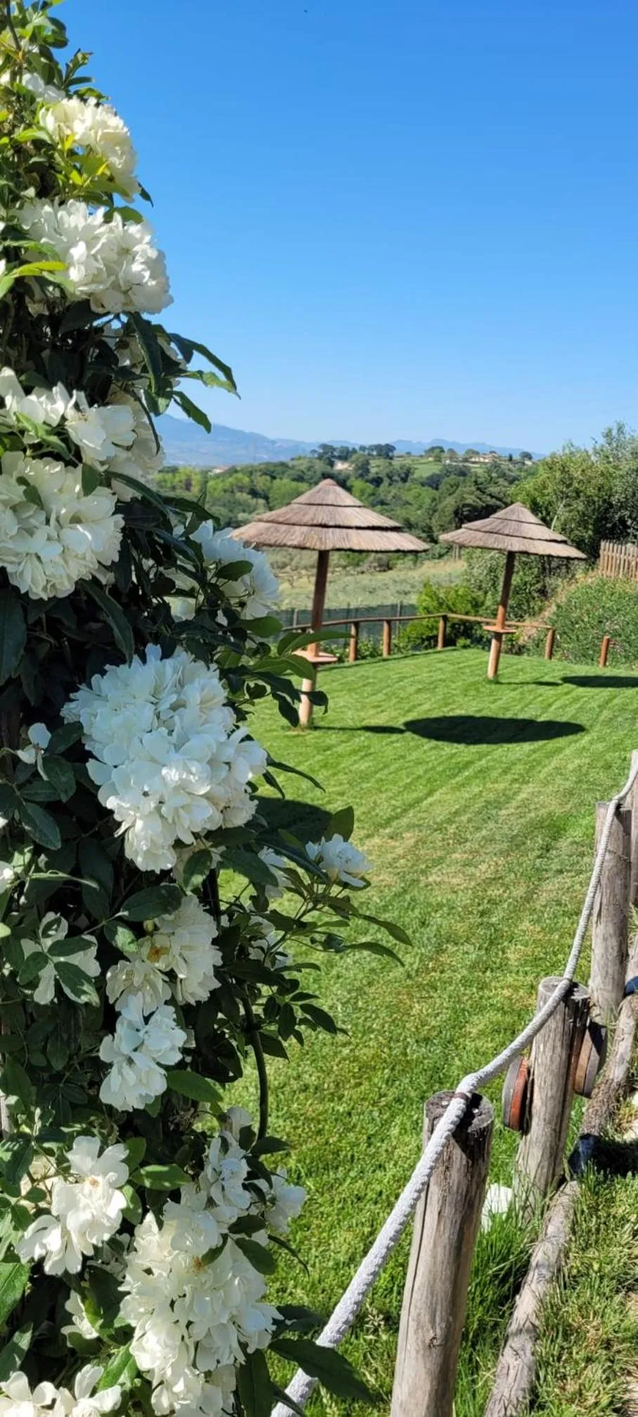 Natural landscape in B&B Villa Melania