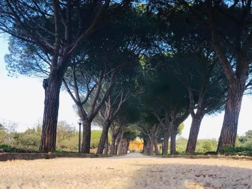 Turtle Island Apartments