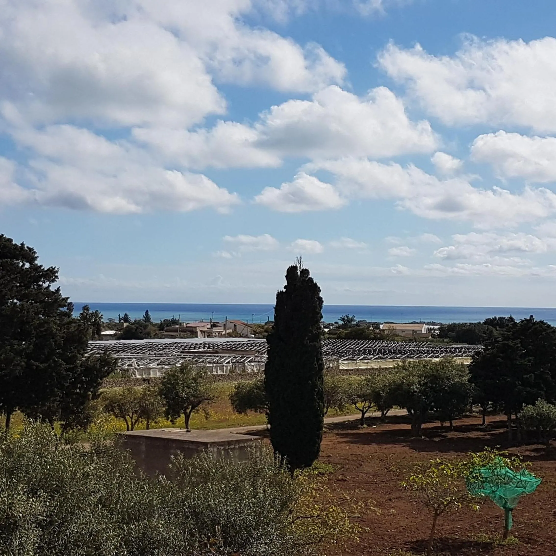 Turtle Island Apartments