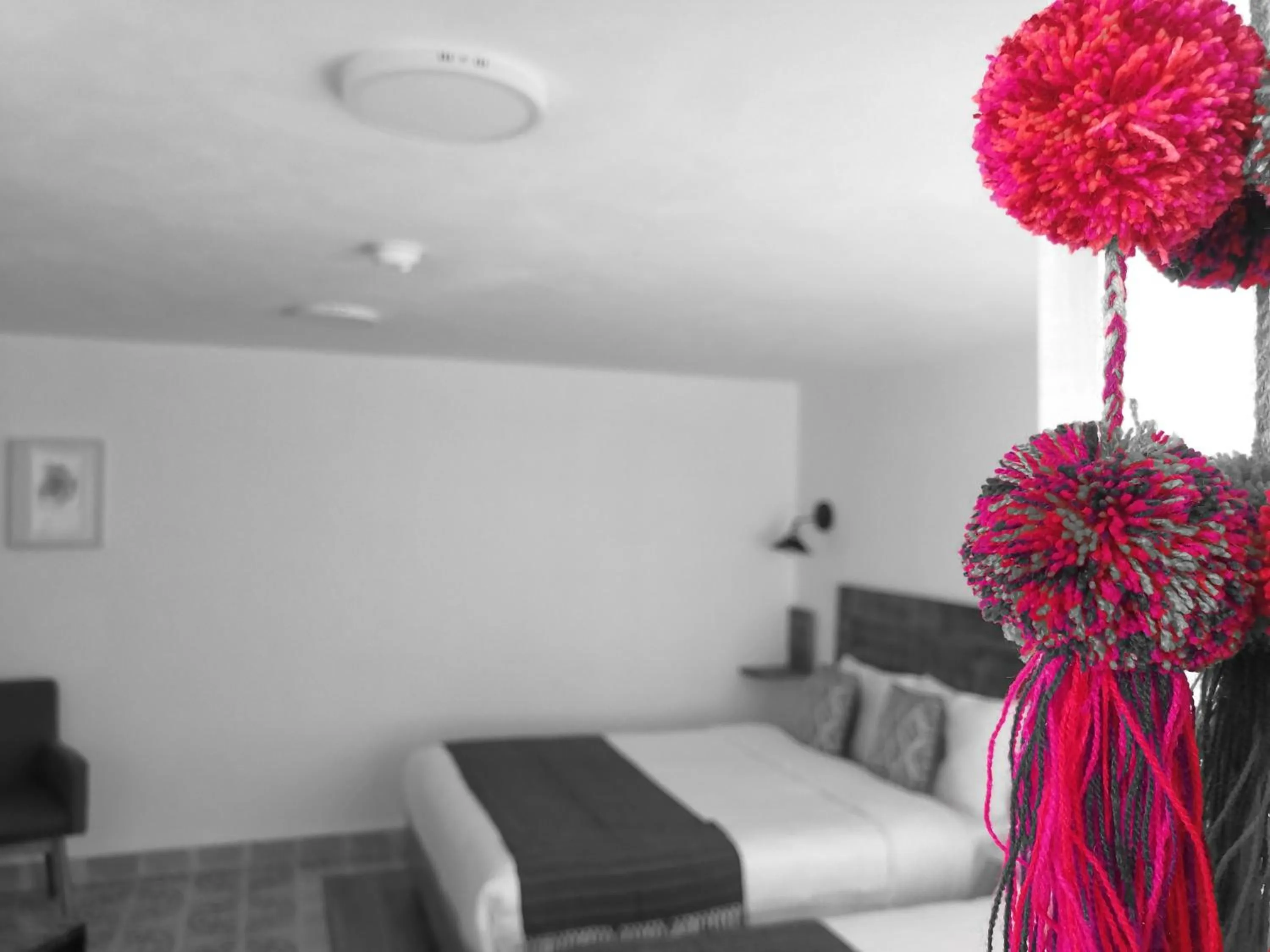 Bed in Santa Josefita B&B