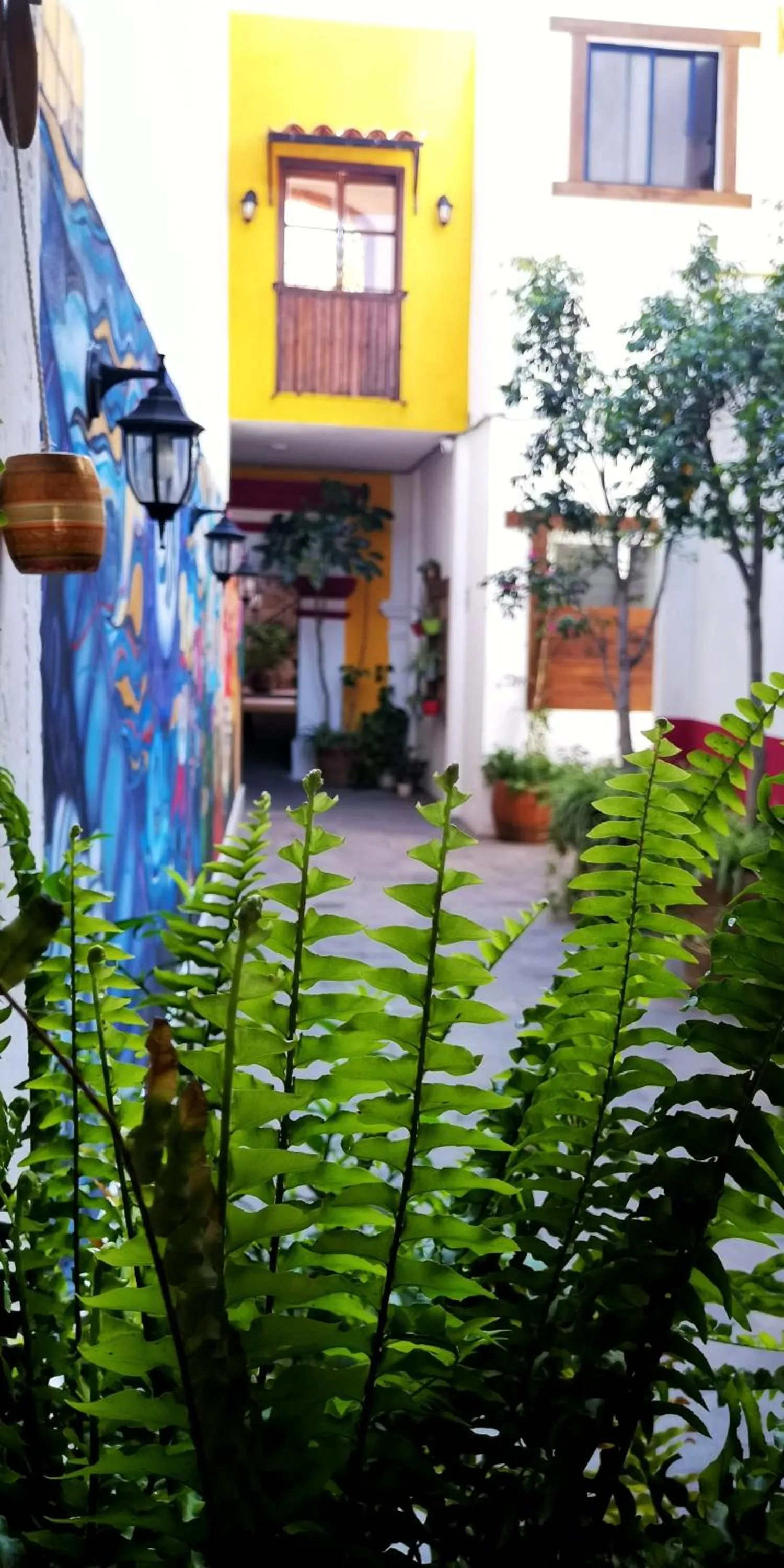 Property building in Santa Josefita B&B