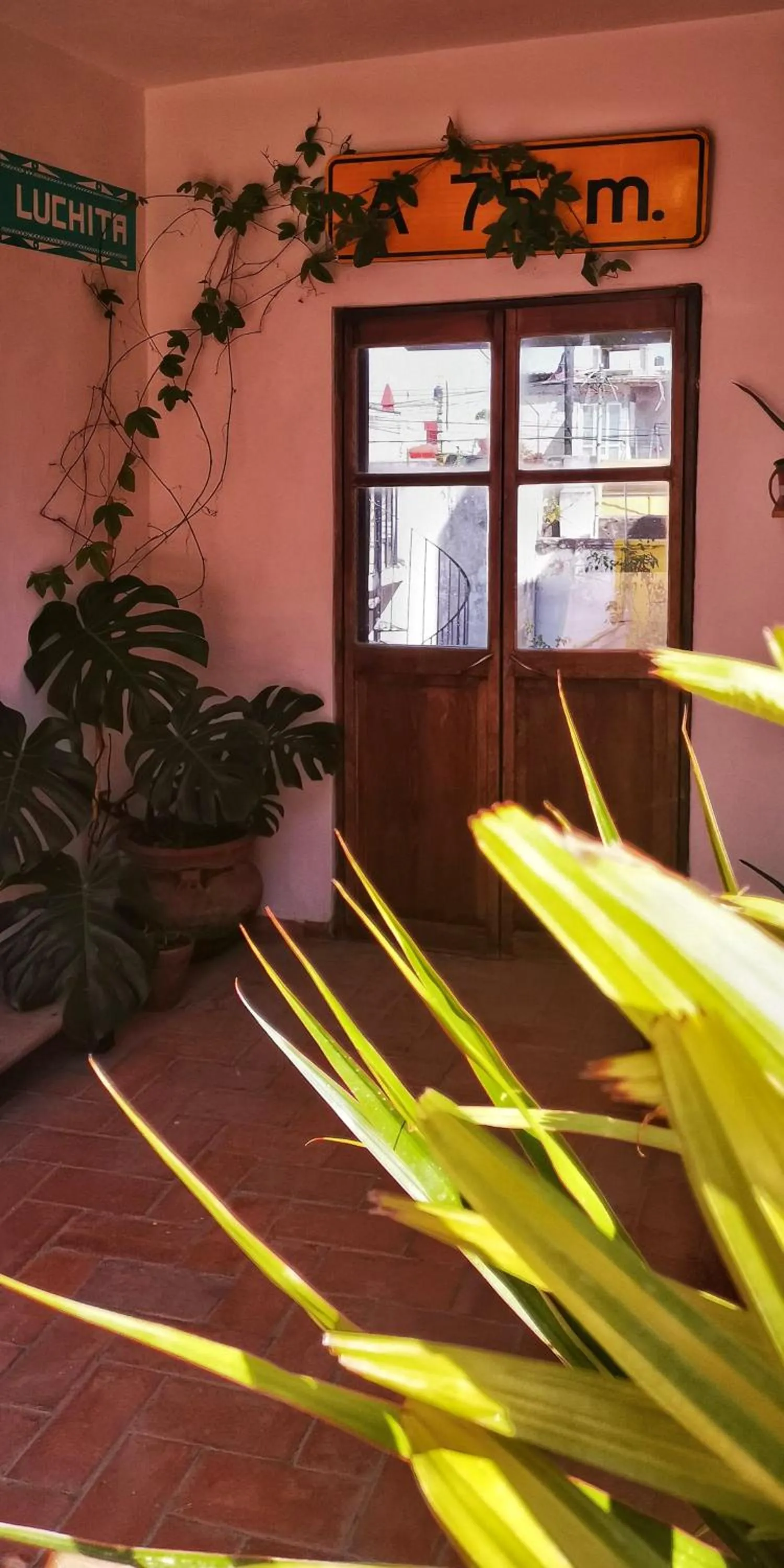 Day in Santa Josefita B&B